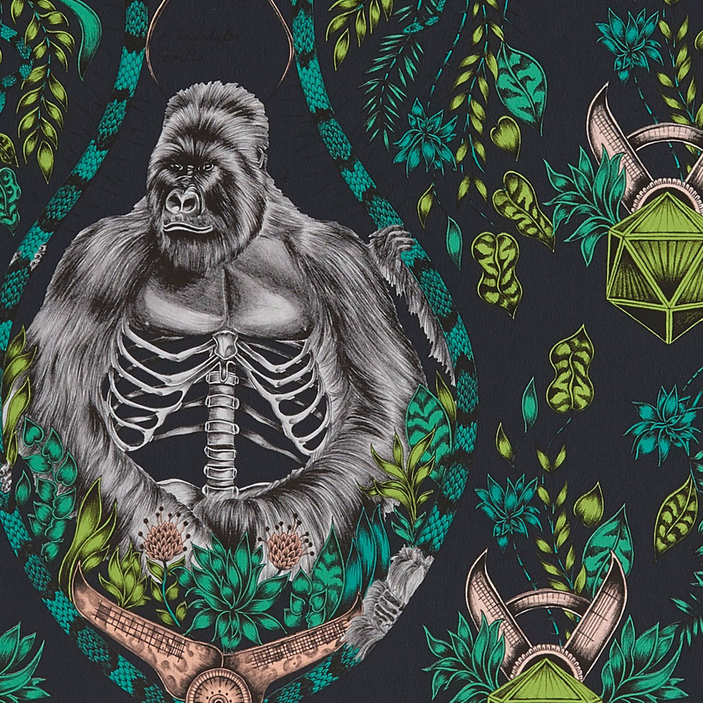 Gorilla Doodle Art, gorilla, ribcage, HD Desktop Wallpaper