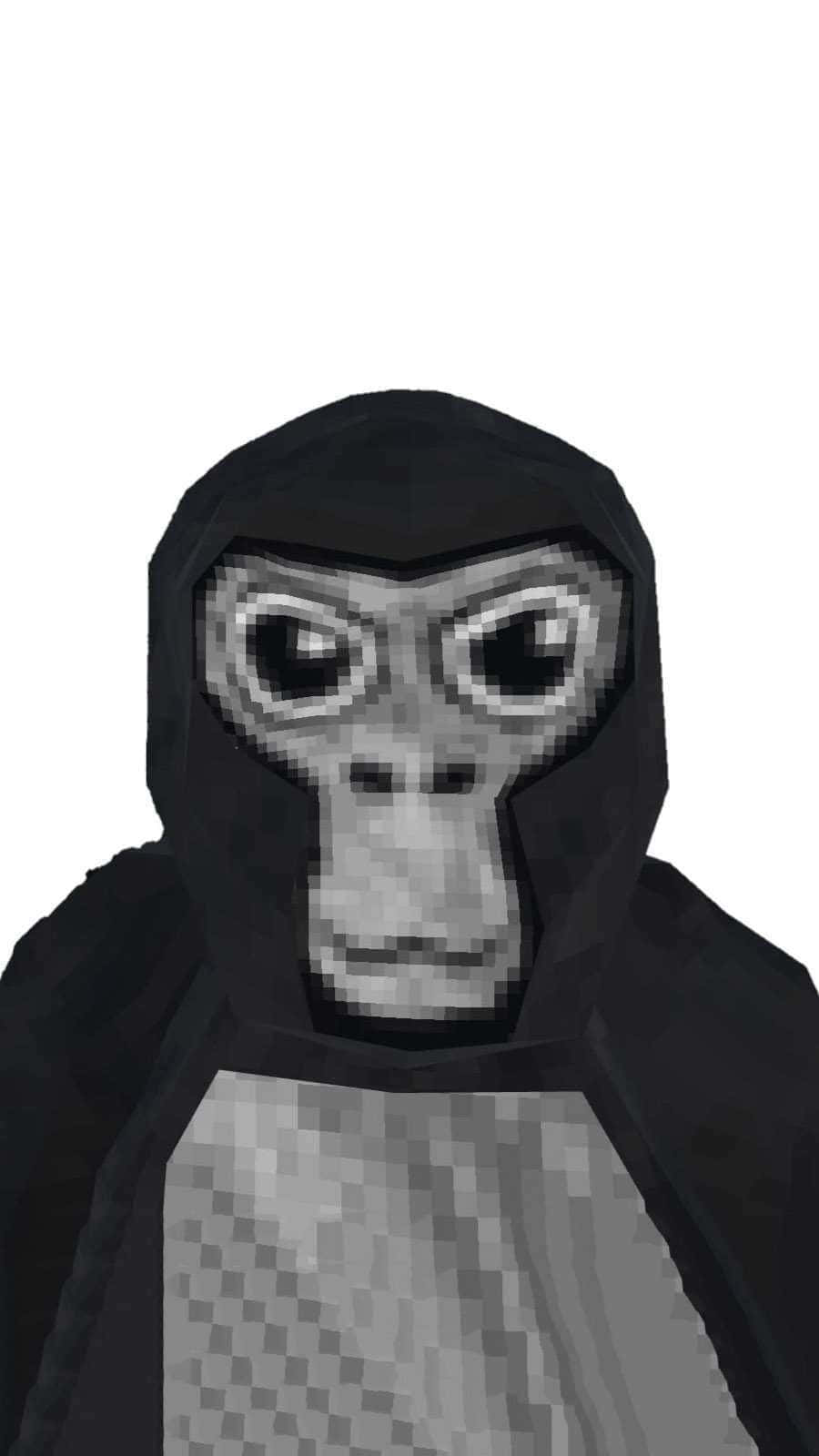 Gorilla Tag, pixelated grayscale monkey, black hooded cloak, HD Phone Wallpaper