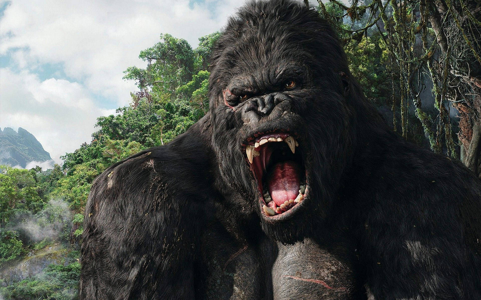 Gorilla, scar tissues, misty jungle, Full HD Desktop Wallpaper