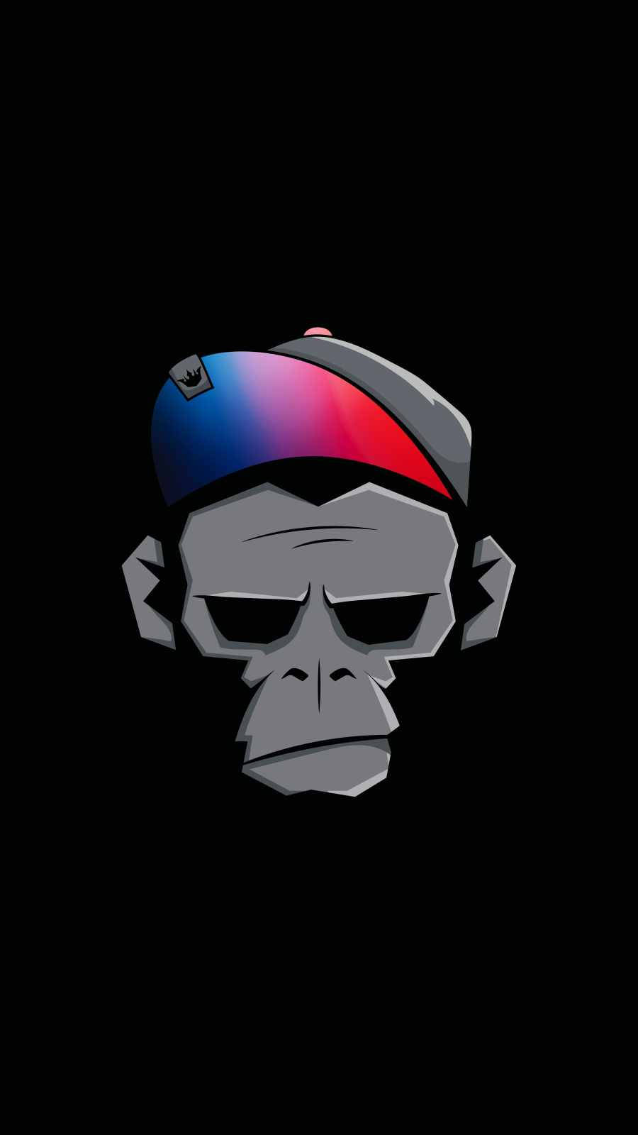 Gorilla, gray monkey face, colorful gradient cap, HD Phone Wallpaper