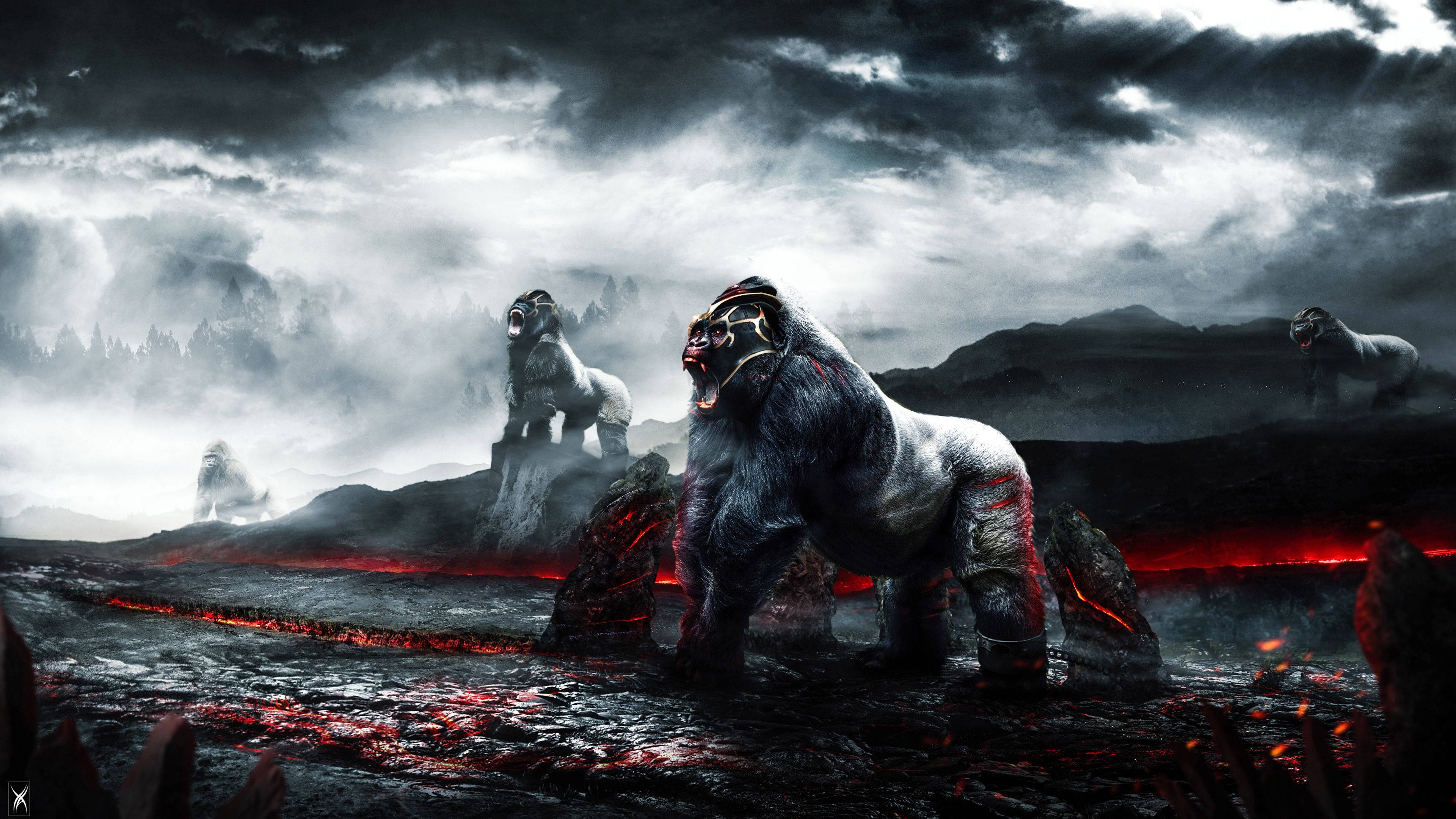 Gorilla, burnt lava mountain, flowing lava, 4K Desktop Wallpaper