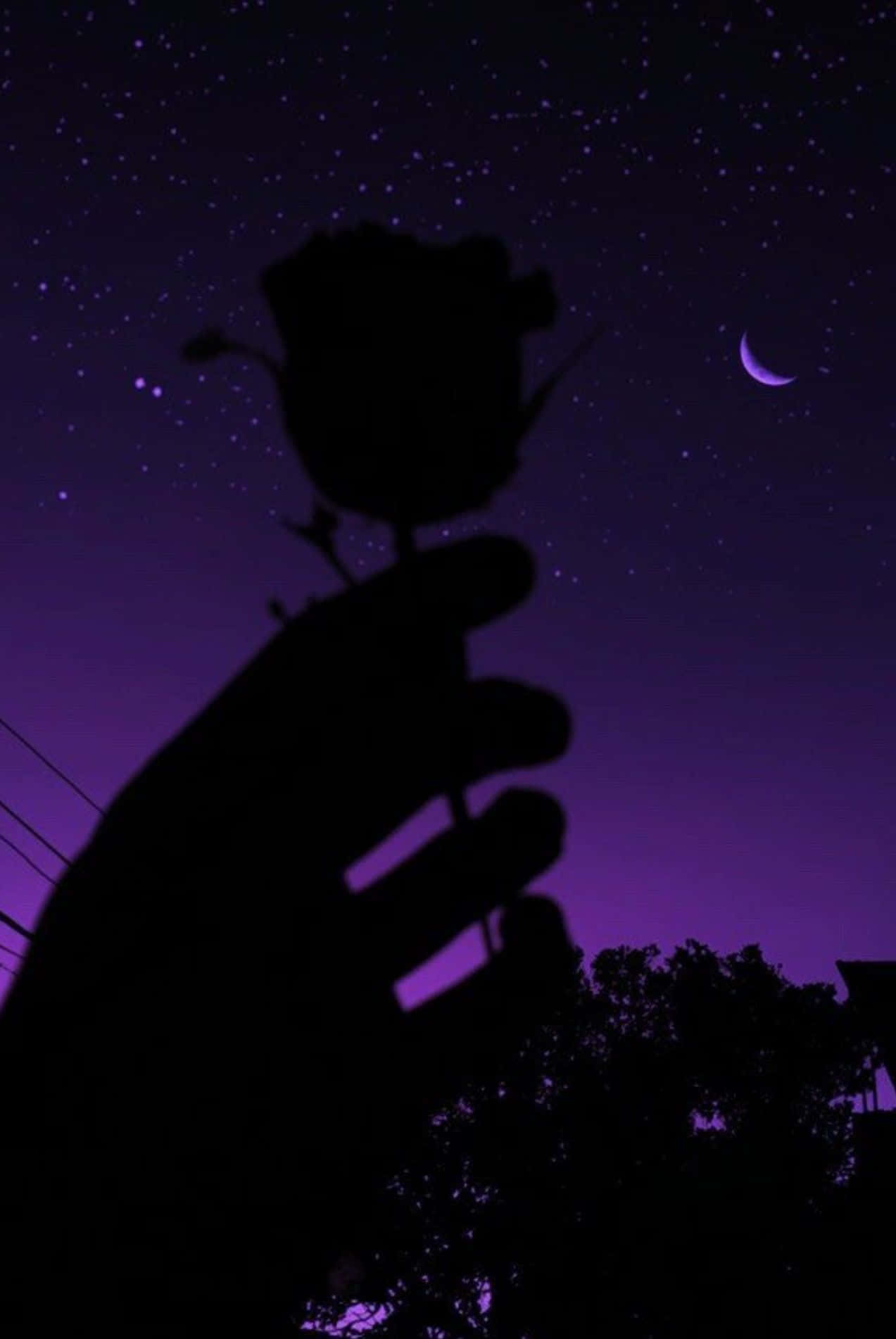 rose silhouette, vibrant purple night sky, stars, HD Phone Wallpaper