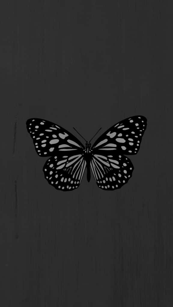 black background, black and white butterfly, spotted wings, SD Phone Wallpaper