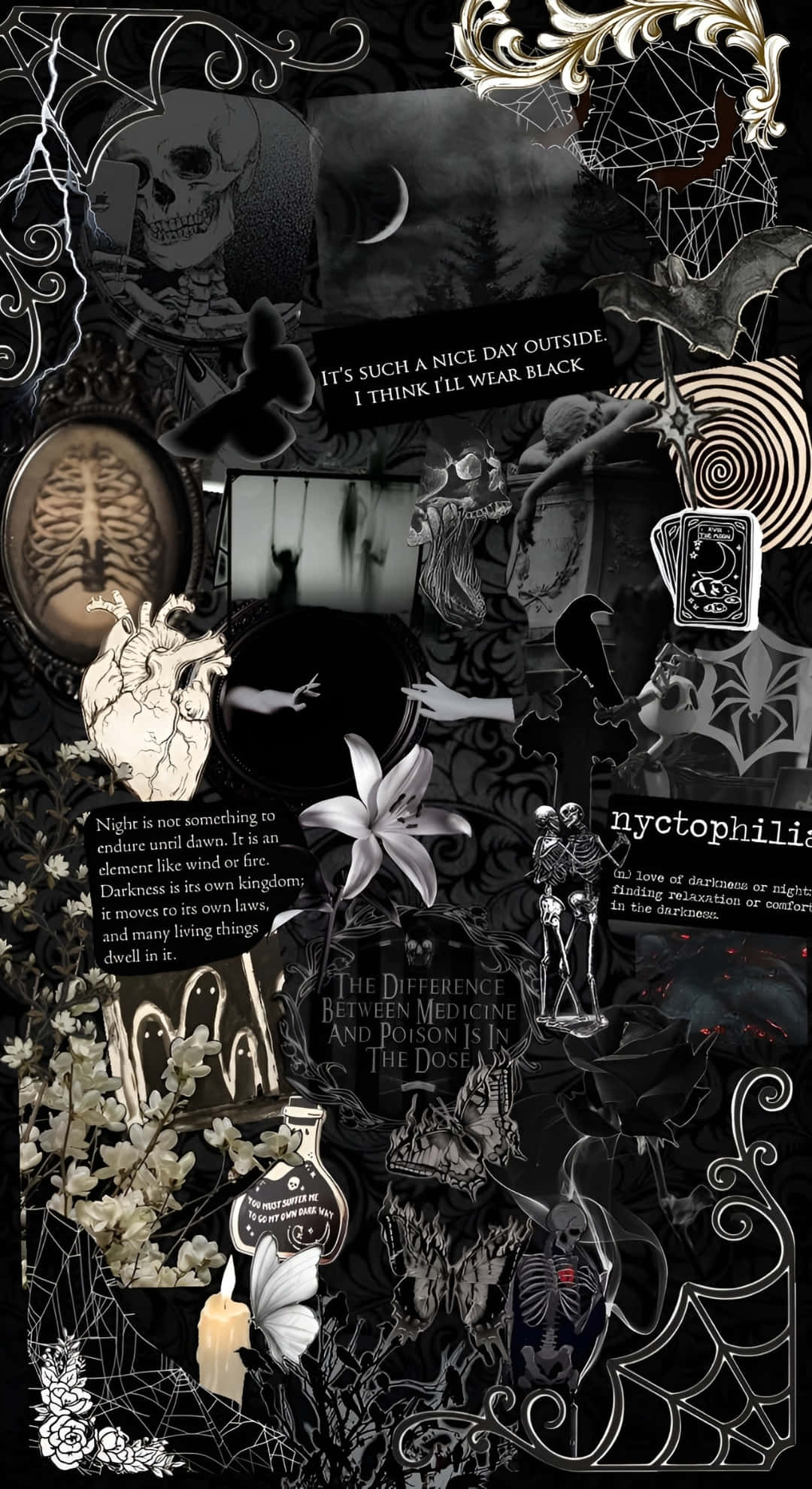Goth Aesthetic, skulls, spiders, Full HD Phone Wallpaper