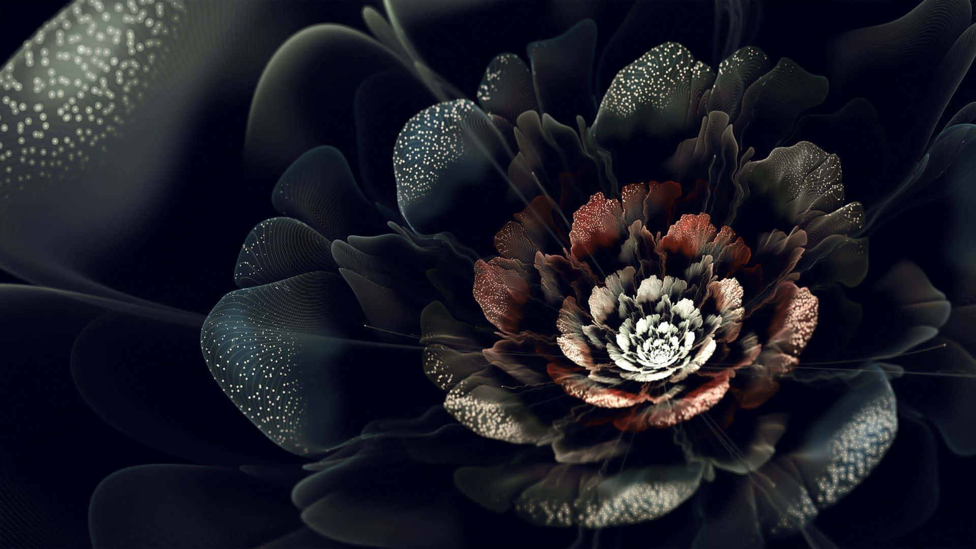 Gothic Flowers With Black Petals, metallic petals, sparkling dewdrops, Full HD Desktop Wallpaper