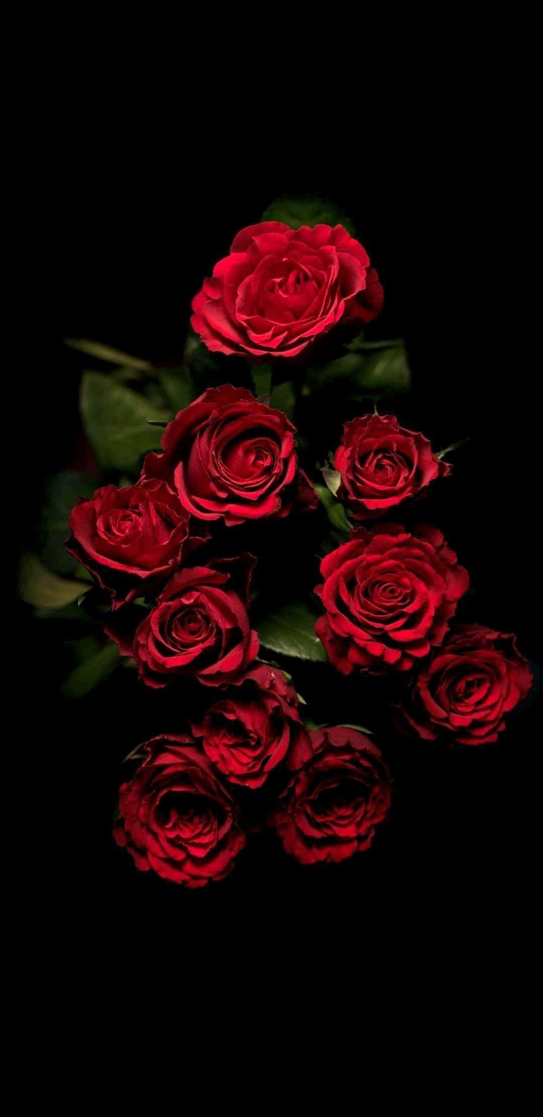 gothic aesthetic, deep red roses, lush green leaves, Full HD Phone Wallpaper