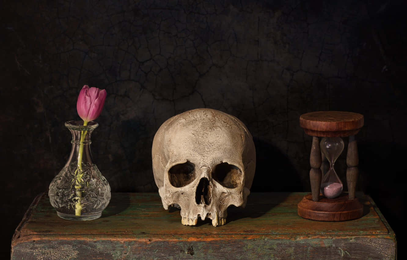 Gothic Style Desk Still Life, skull, pink tulip, HD Desktop Wallpaper