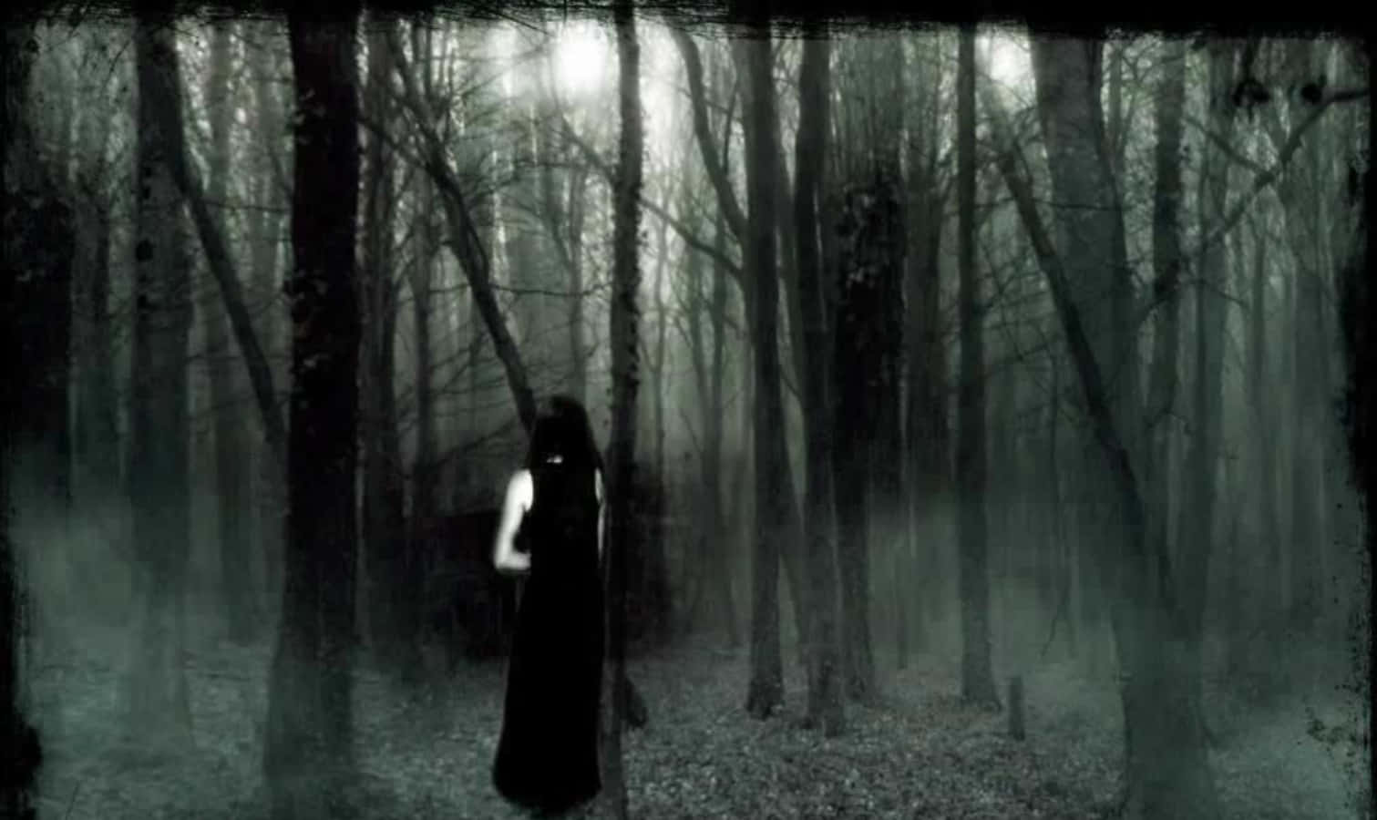 Gothic Computer, dark forest, long dark dress, HD Desktop Wallpaper