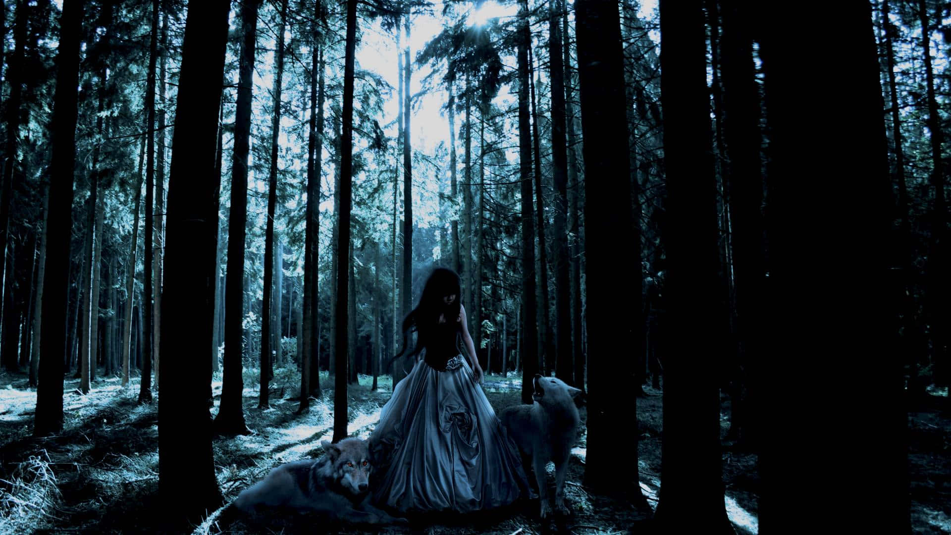 Gothic Computer, forest, dark blue forest, Full HD Desktop Wallpaper
