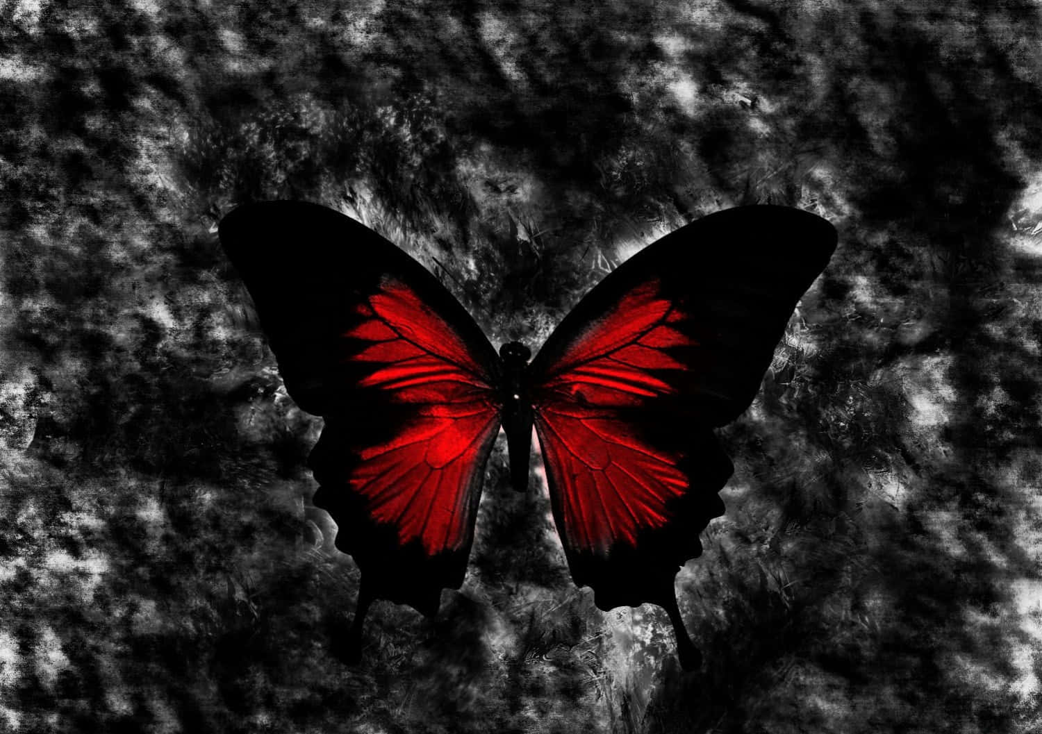 Gothic Computer, red and black butterfly, glowing wings, HD Desktop Wallpaper