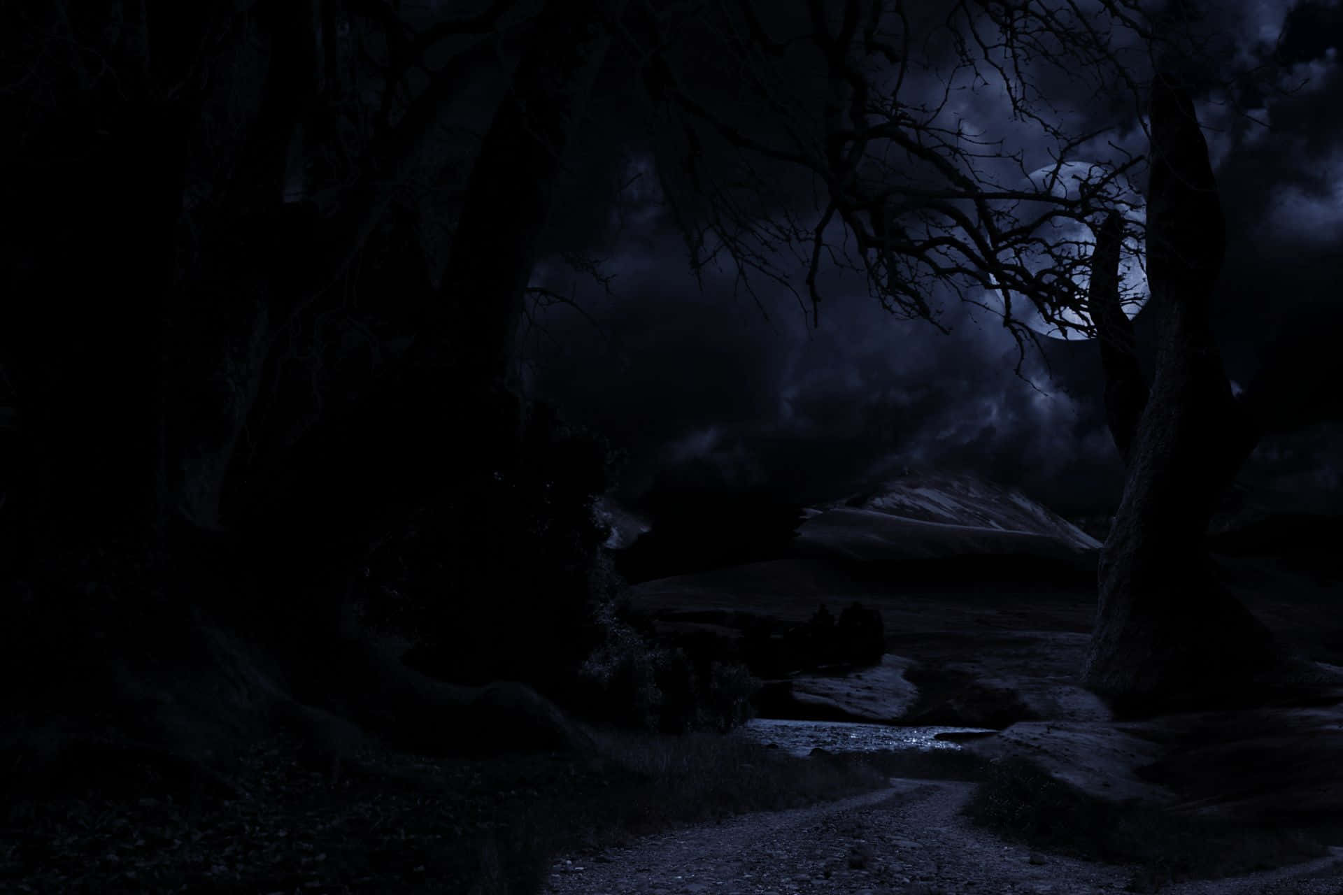 Gothic Computer, dark eerie forest path, twisted bare trees, Full HD Desktop Wallpaper