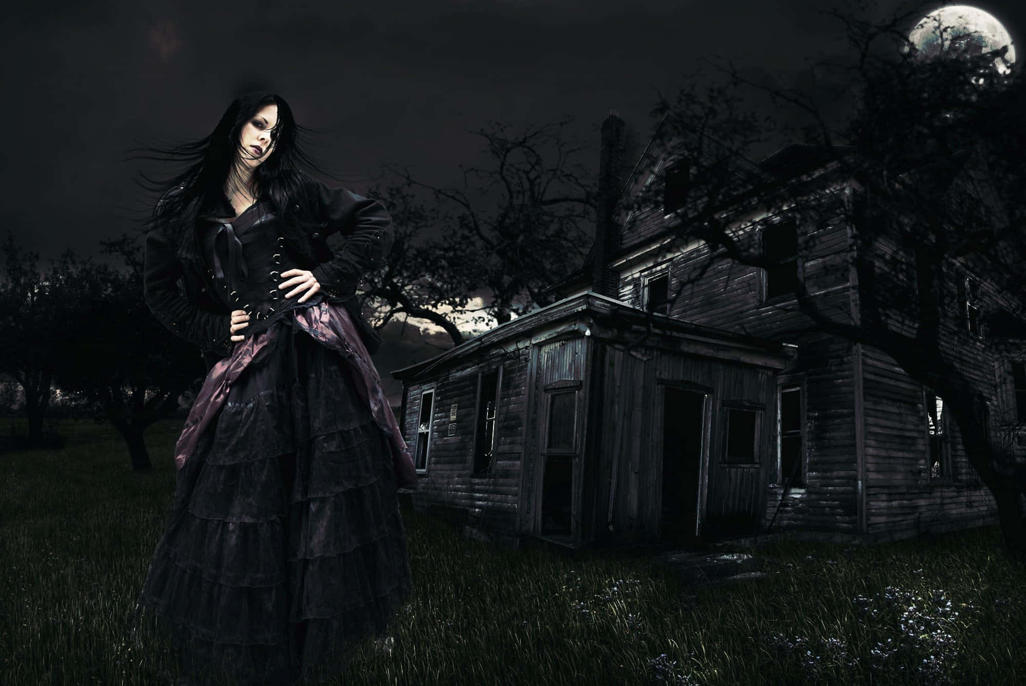 Gothic Fantasy, moonlit manor, pale woman, Full HD Desktop Wallpaper