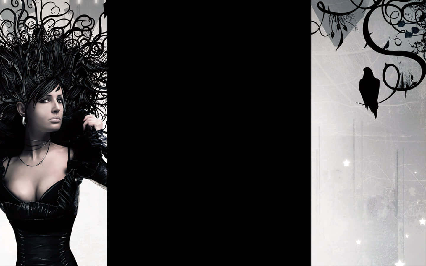 gothic woman, ornate black hair, crow, HD Desktop Wallpaper