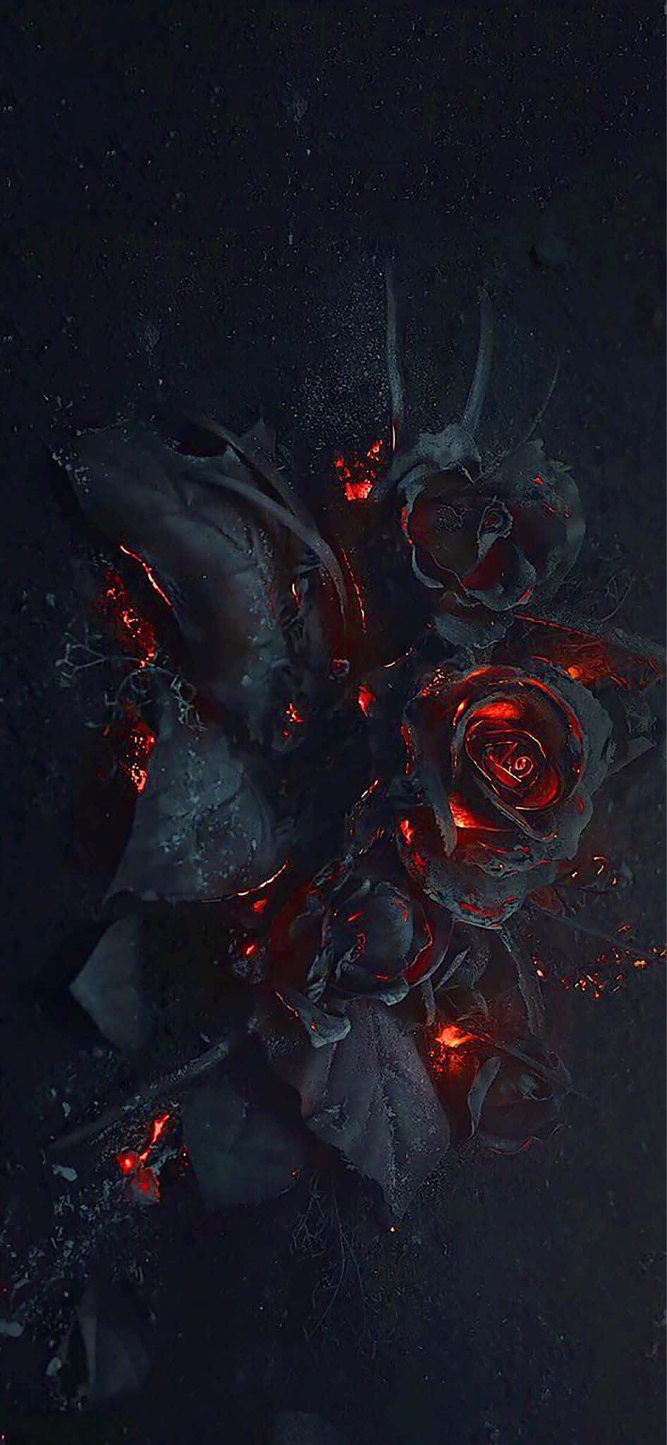 Gothic iPhone, black roses, molten red light, Full HD Phone Wallpaper