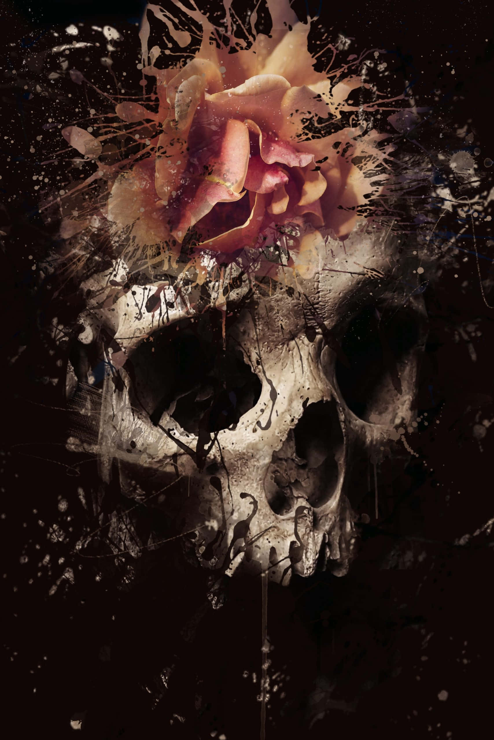Gothic iPhone, skull, decaying rose, 2K Phone Wallpaper