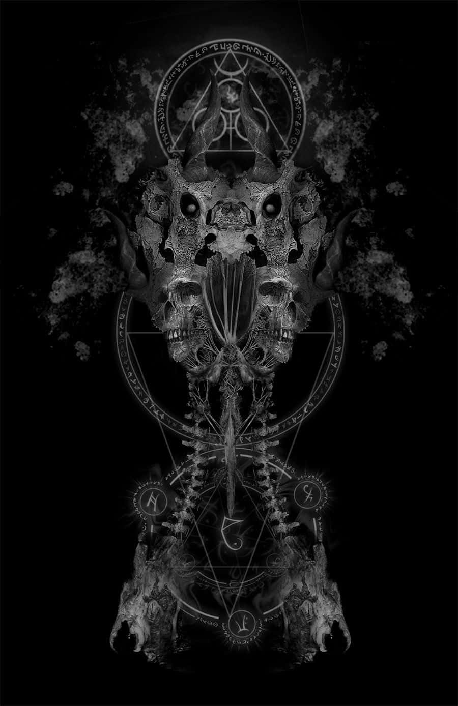 Gothic iPhone, white skull, black background, HD Phone Wallpaper