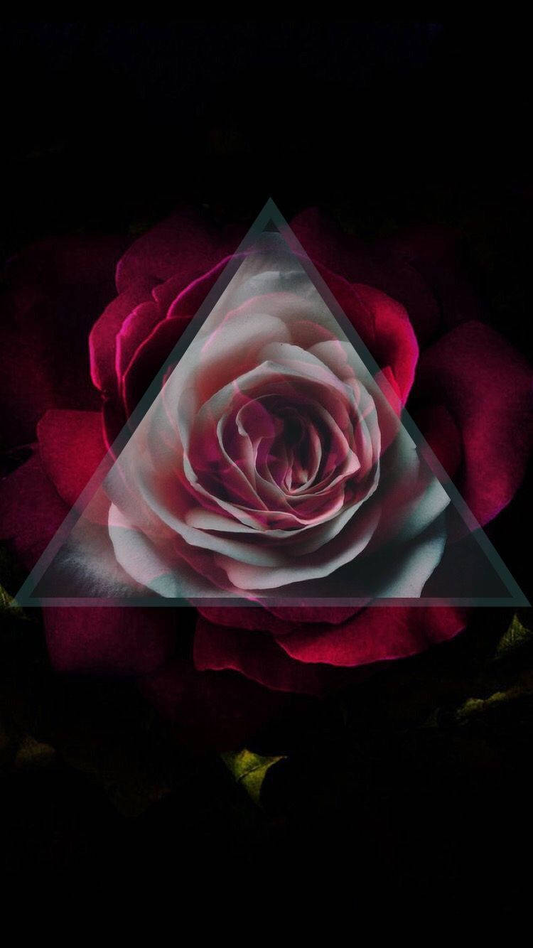 Gothic Phone, deep red rose, glowing translucent triangle, HD Phone Wallpaper