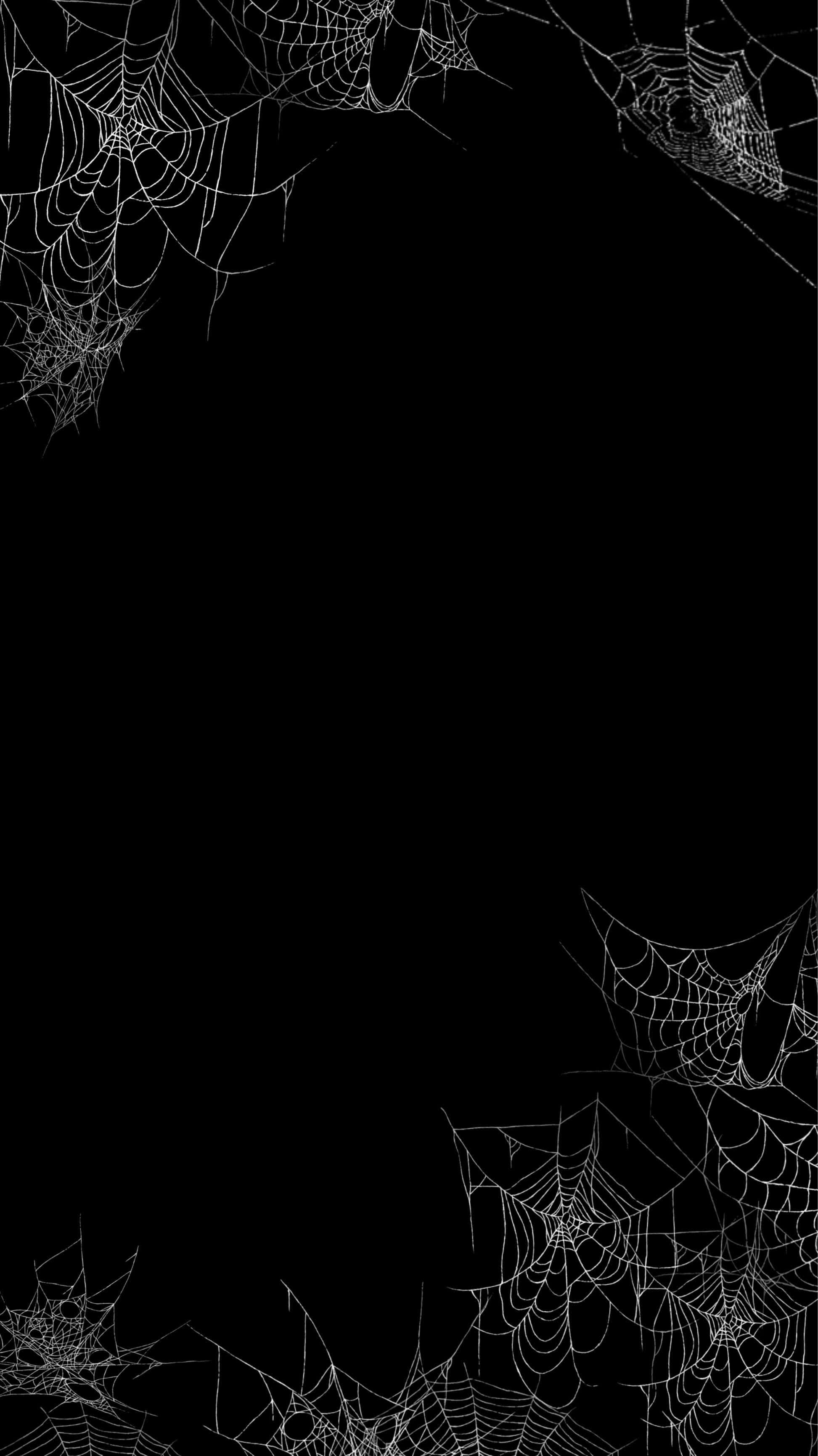 Gothic iPhone, white spiderwebs, stark black background, 2K Phone Wallpaper