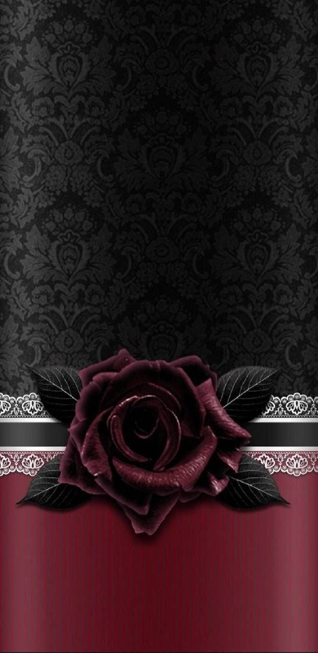 black damask wallpaper, red textured panel, deep burgundy rose, HD Phone Wallpaper