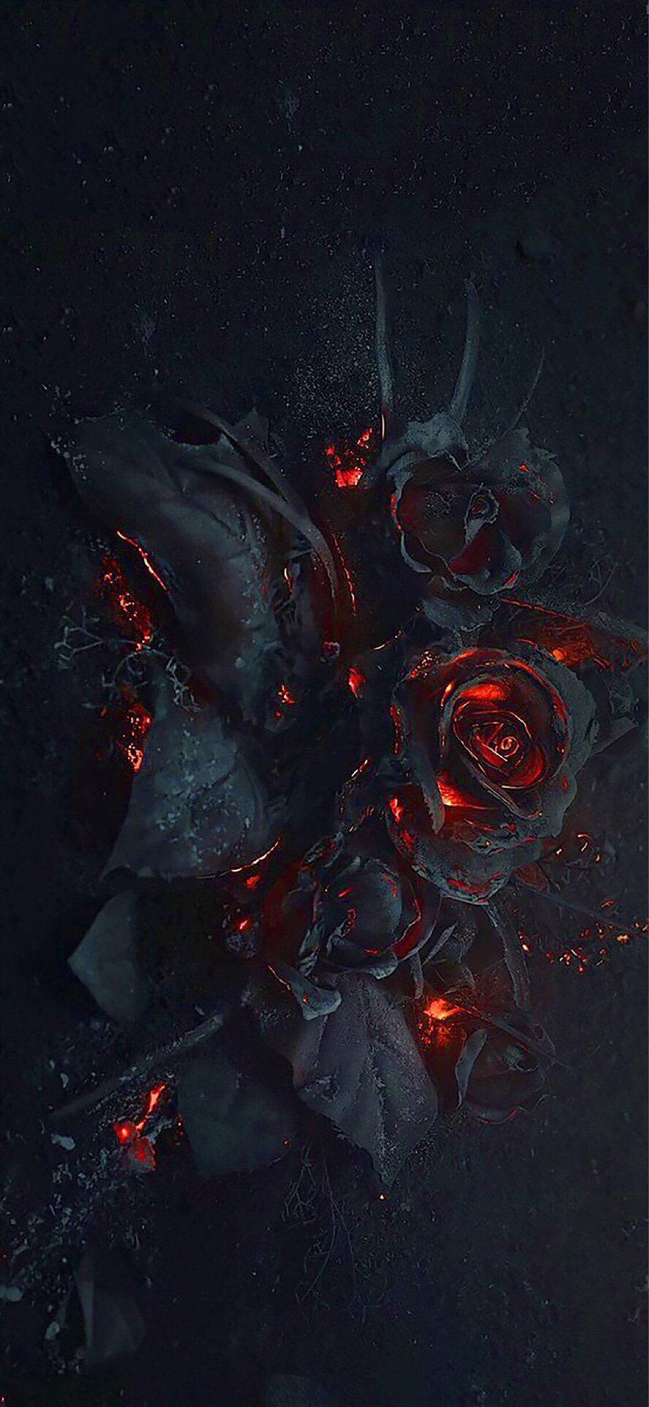 black, red rose, flames, Full HD Phone Wallpaper