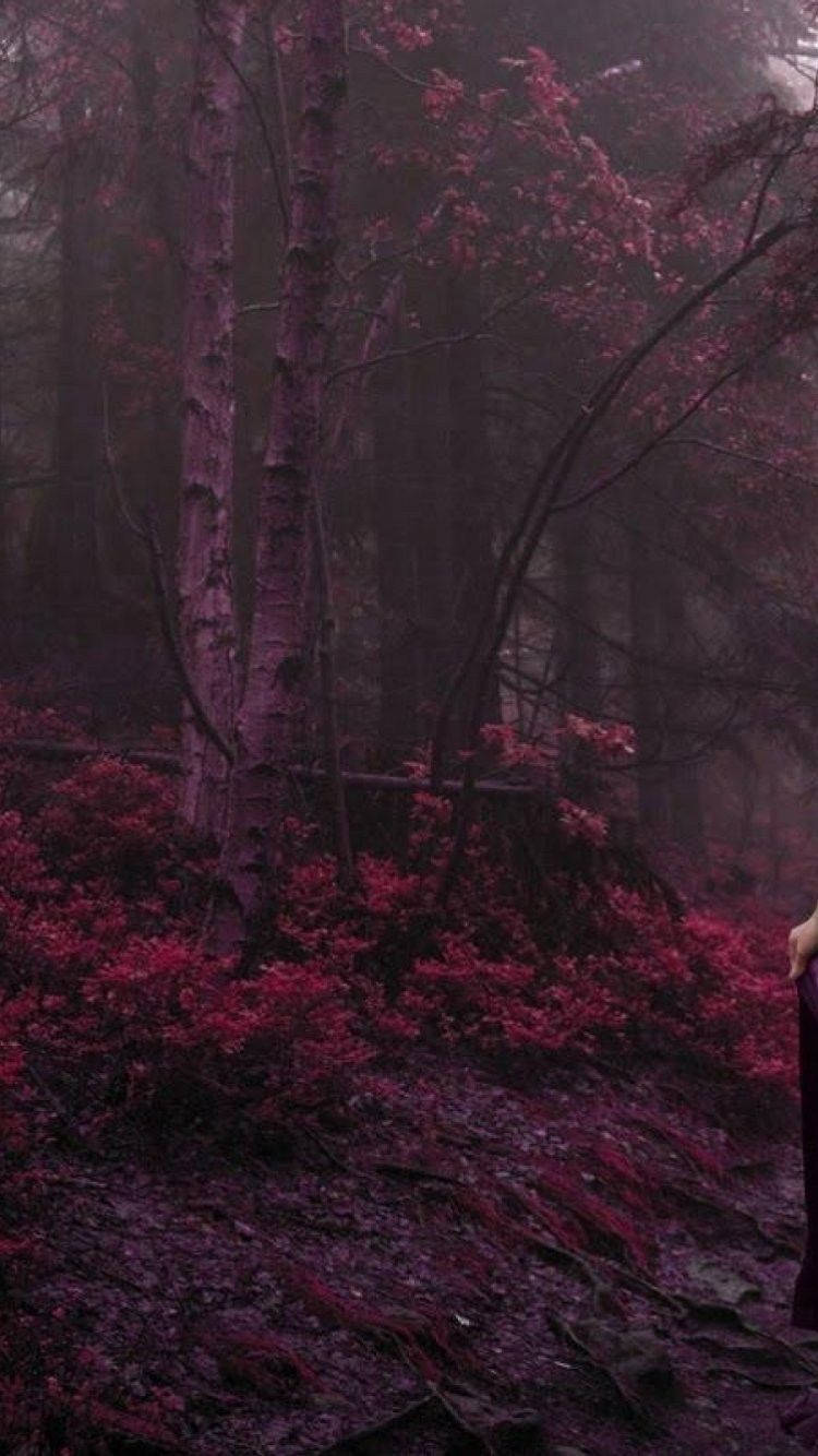 Gothic Phone, misty forest, deep magenta light, HD Phone Wallpaper