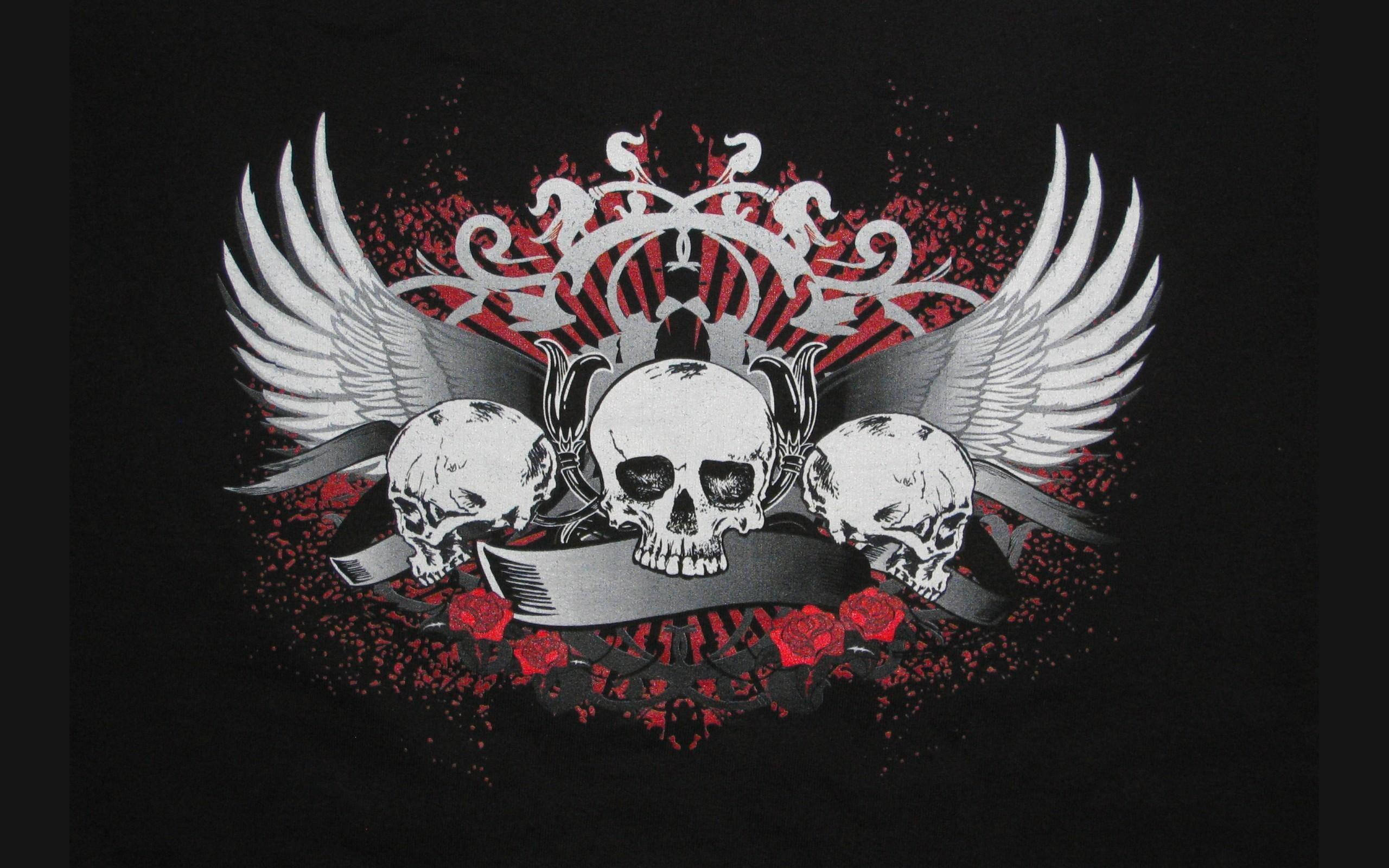 black t-shirt, skull, wings, 2K Desktop Wallpaper