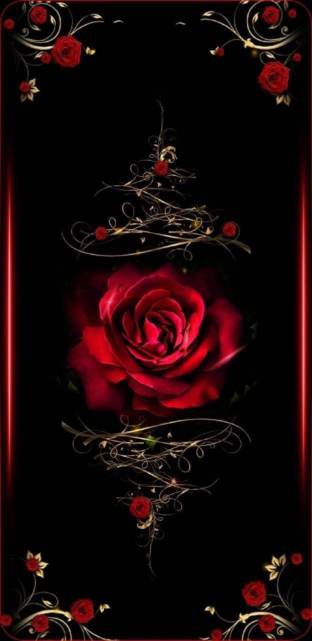 black background, red rose, ornate gold swirls, HD Phone Wallpaper