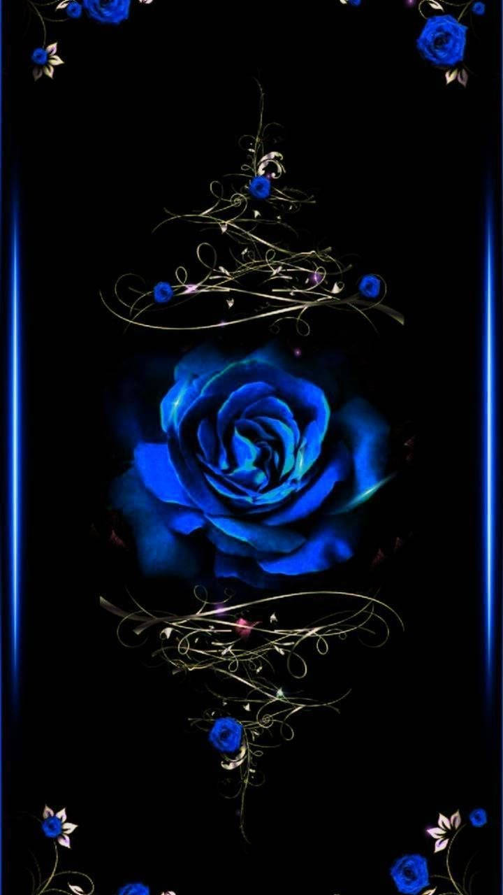 electric blue rose, black background, ornate silver swirls, HD Phone Wallpaper