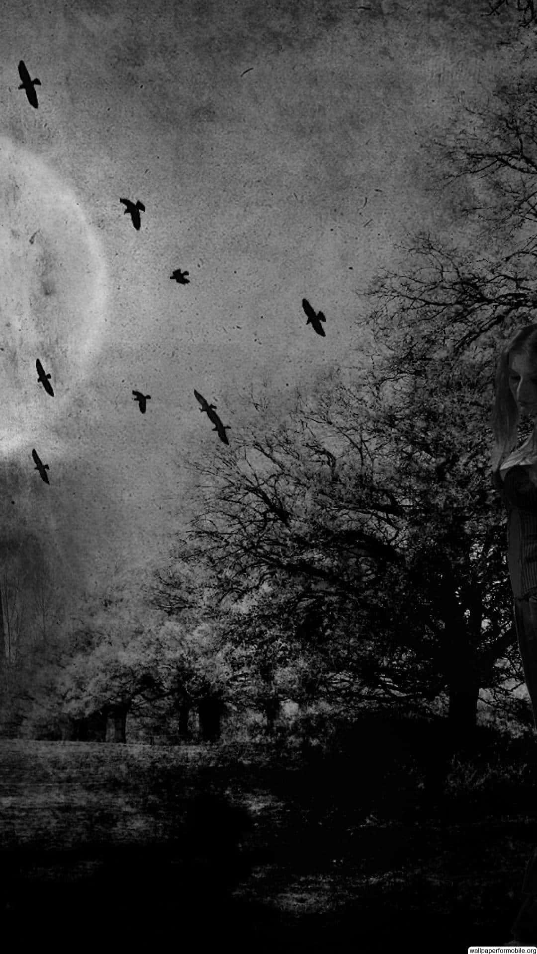 Gothic, iPhone, Black And White Nature, Full HD Phone Wallpaper
