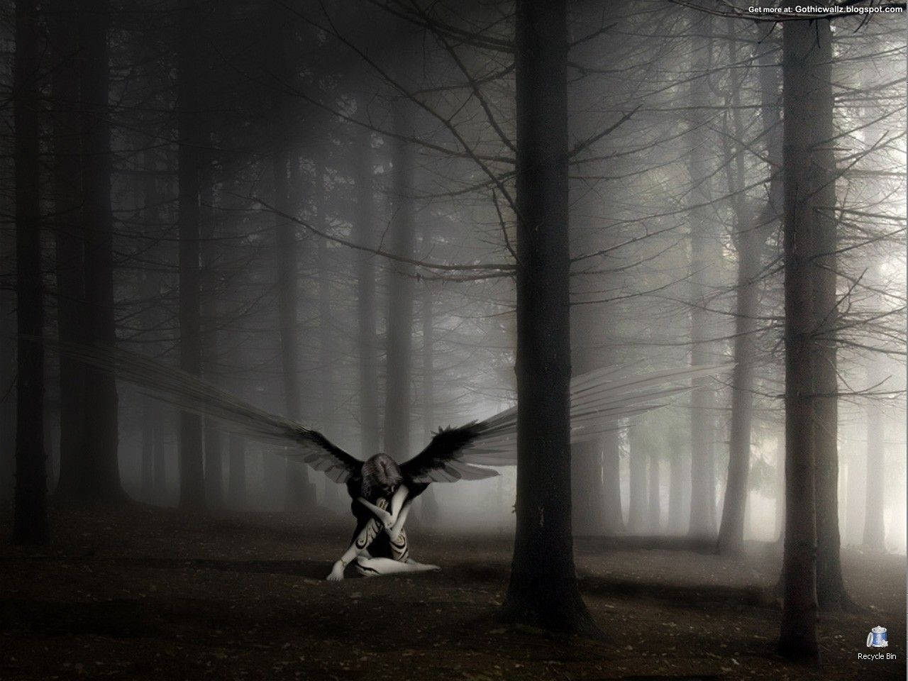 gothic forest, winged figure, misty dark forest, HD Desktop Wallpaper