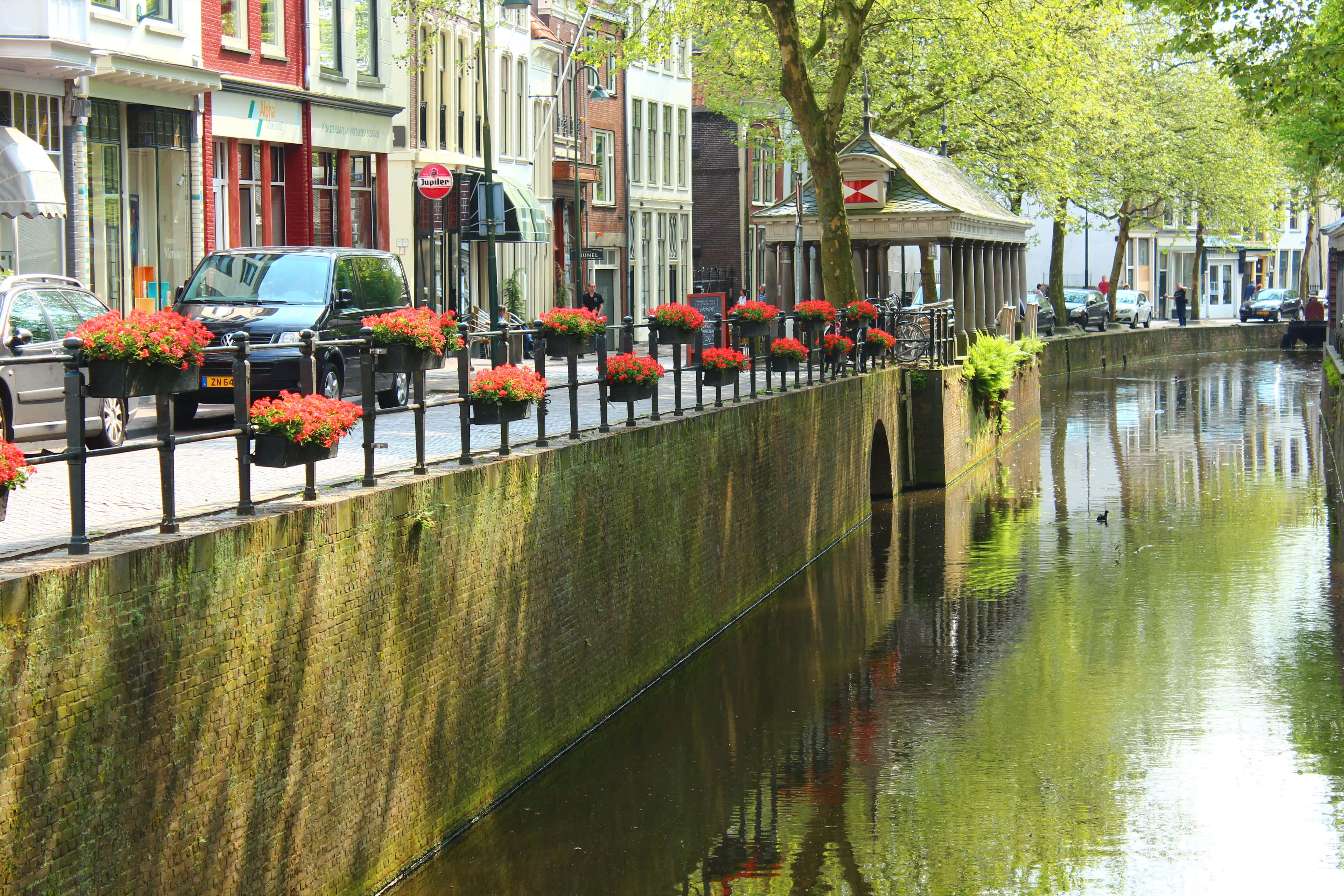 Gouda, canal, floral beauty, 5K Desktop Wallpaper
