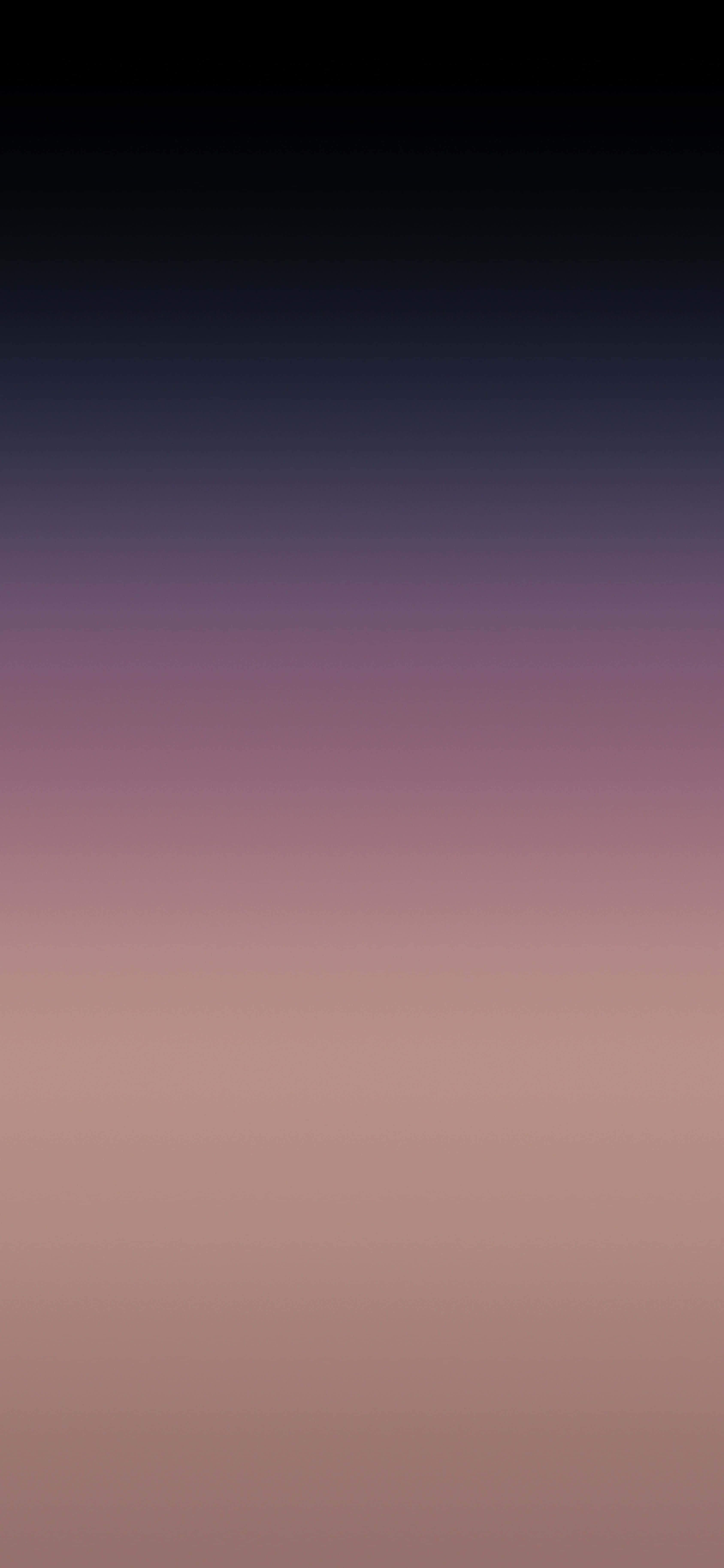 purple, black, gradient, 5K Phone Wallpaper