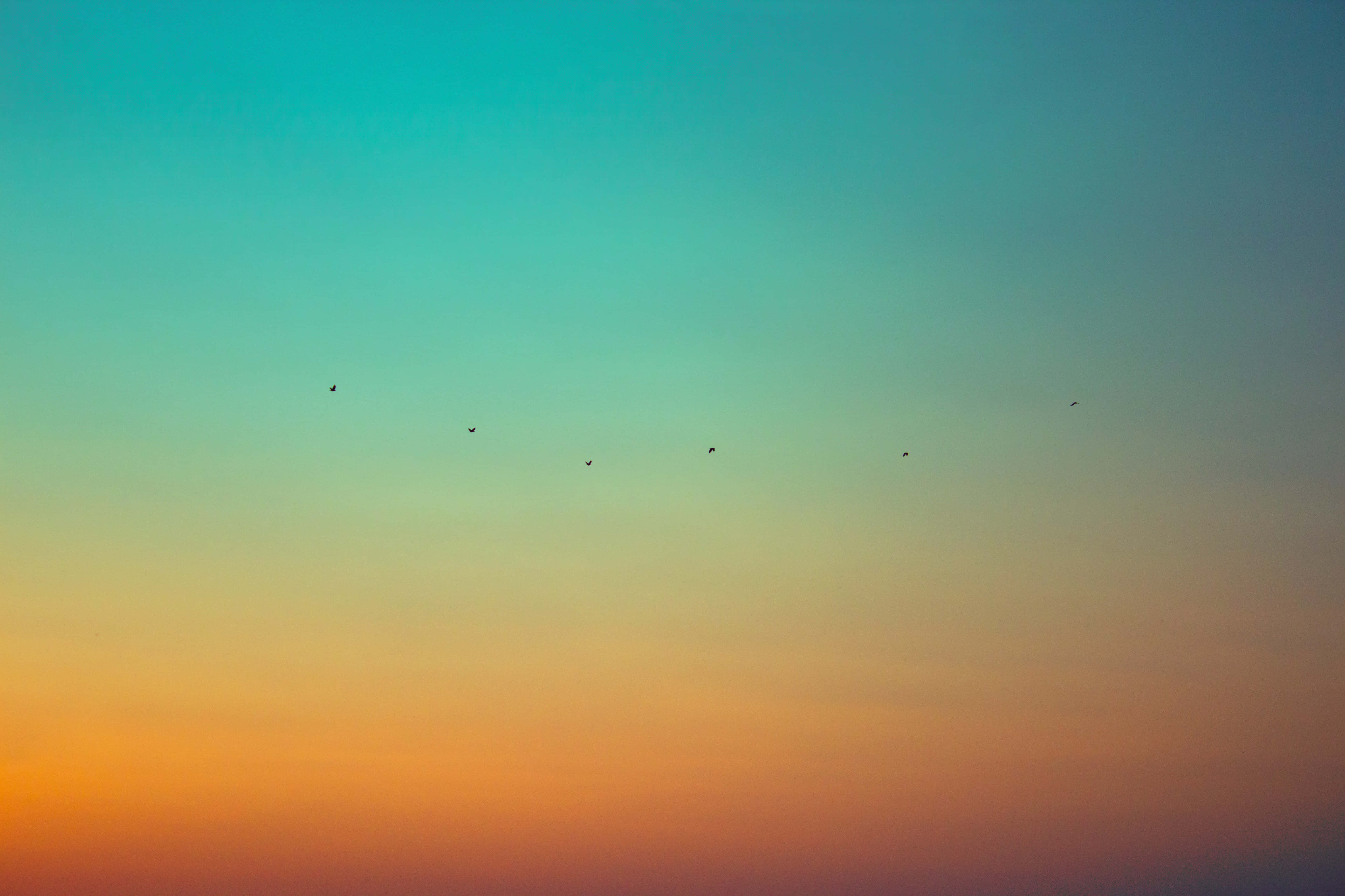 teal, orange, sunset, 5K Desktop Wallpaper