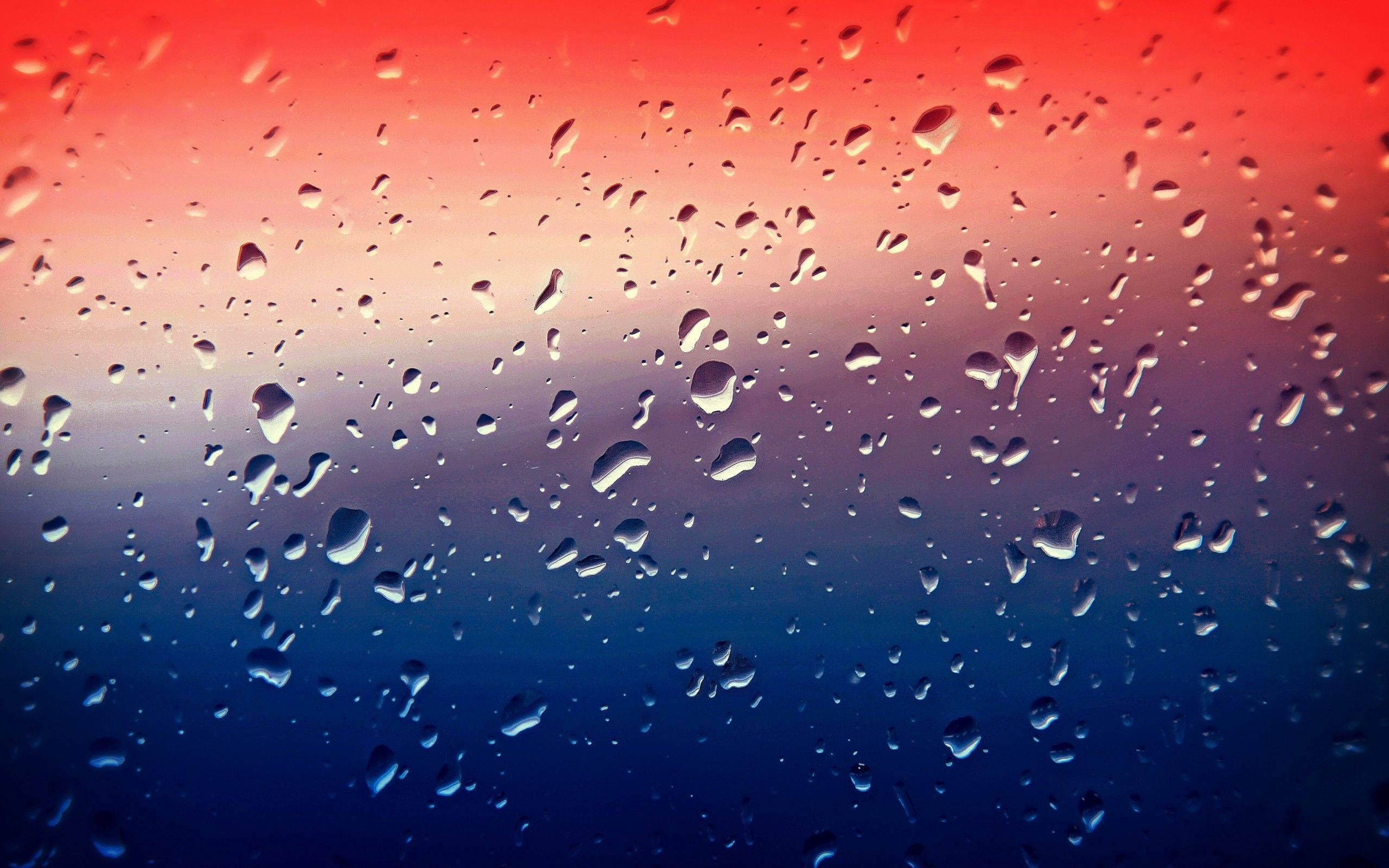 4K UHD, water droplets, window, 2K Desktop Wallpaper