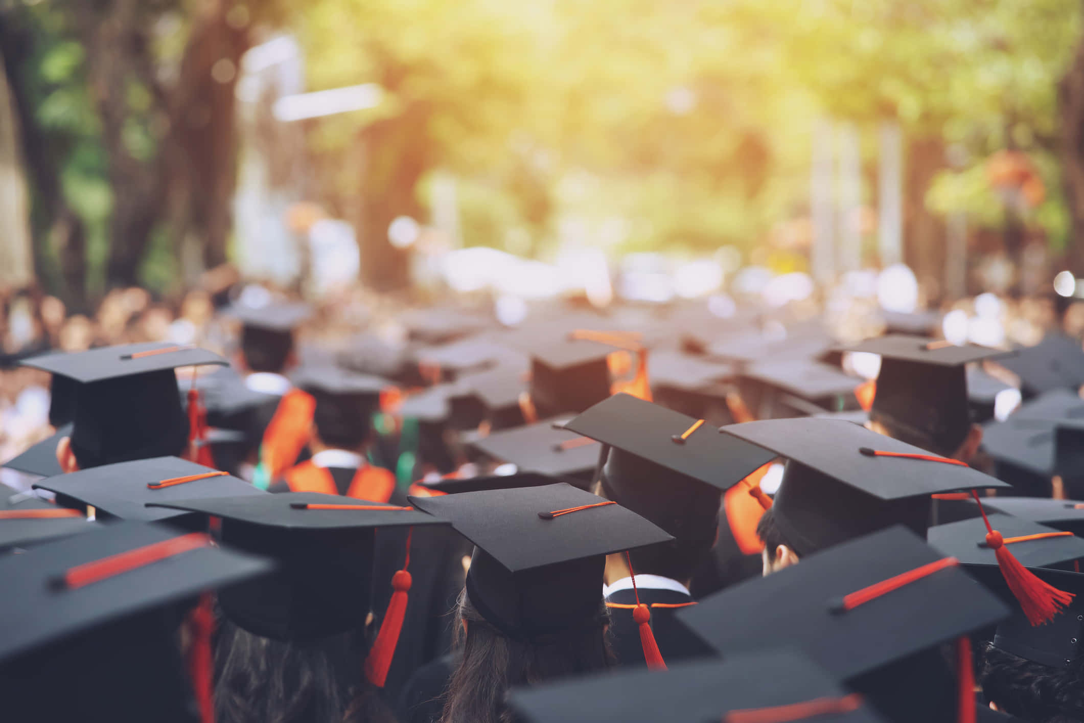 Graduation Ceremony, black caps, red tassels, Full HD Desktop Wallpaper
