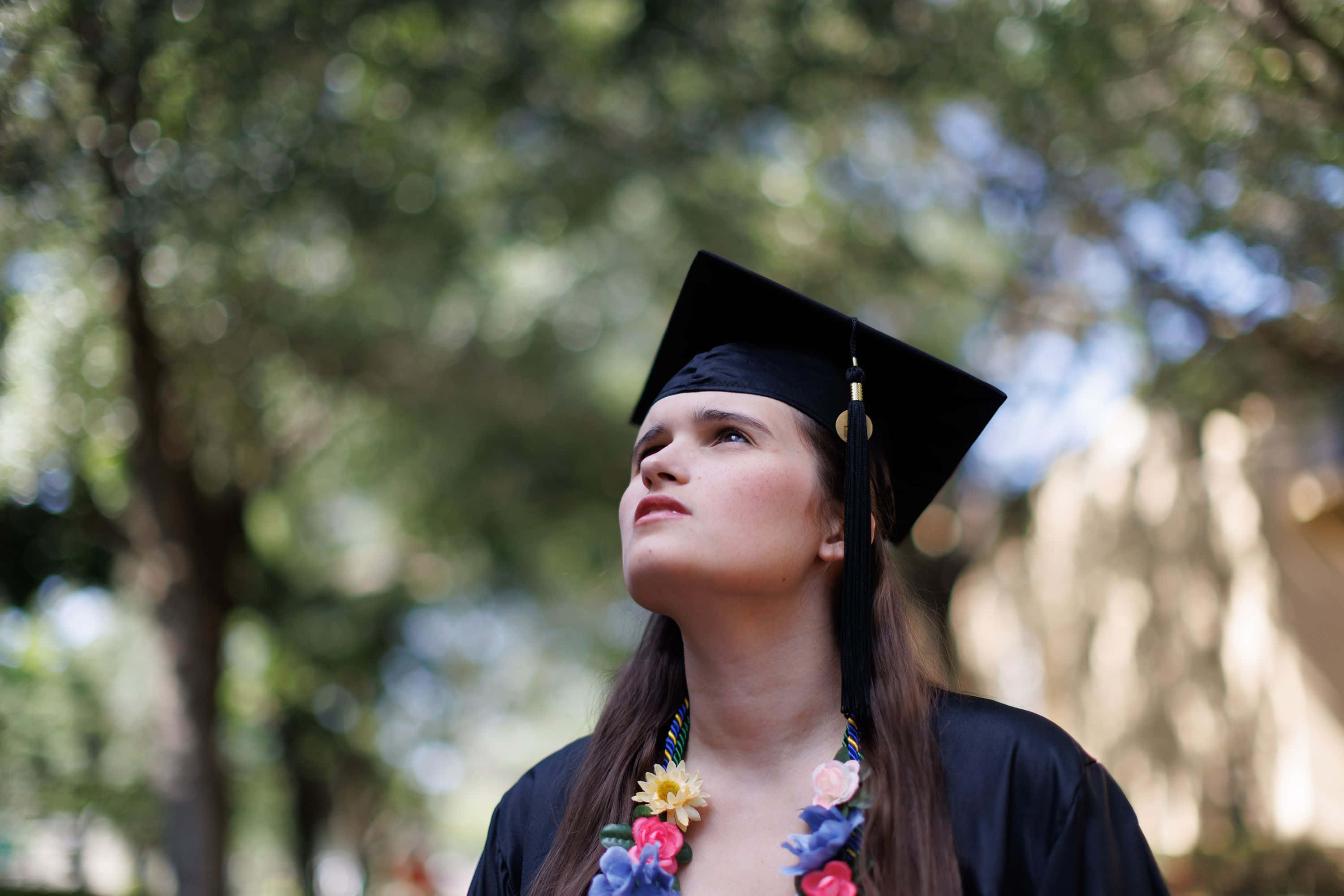 graduation ceremony, black cap and gown, sunlit tree backdrop, 2K Desktop Wallpaper