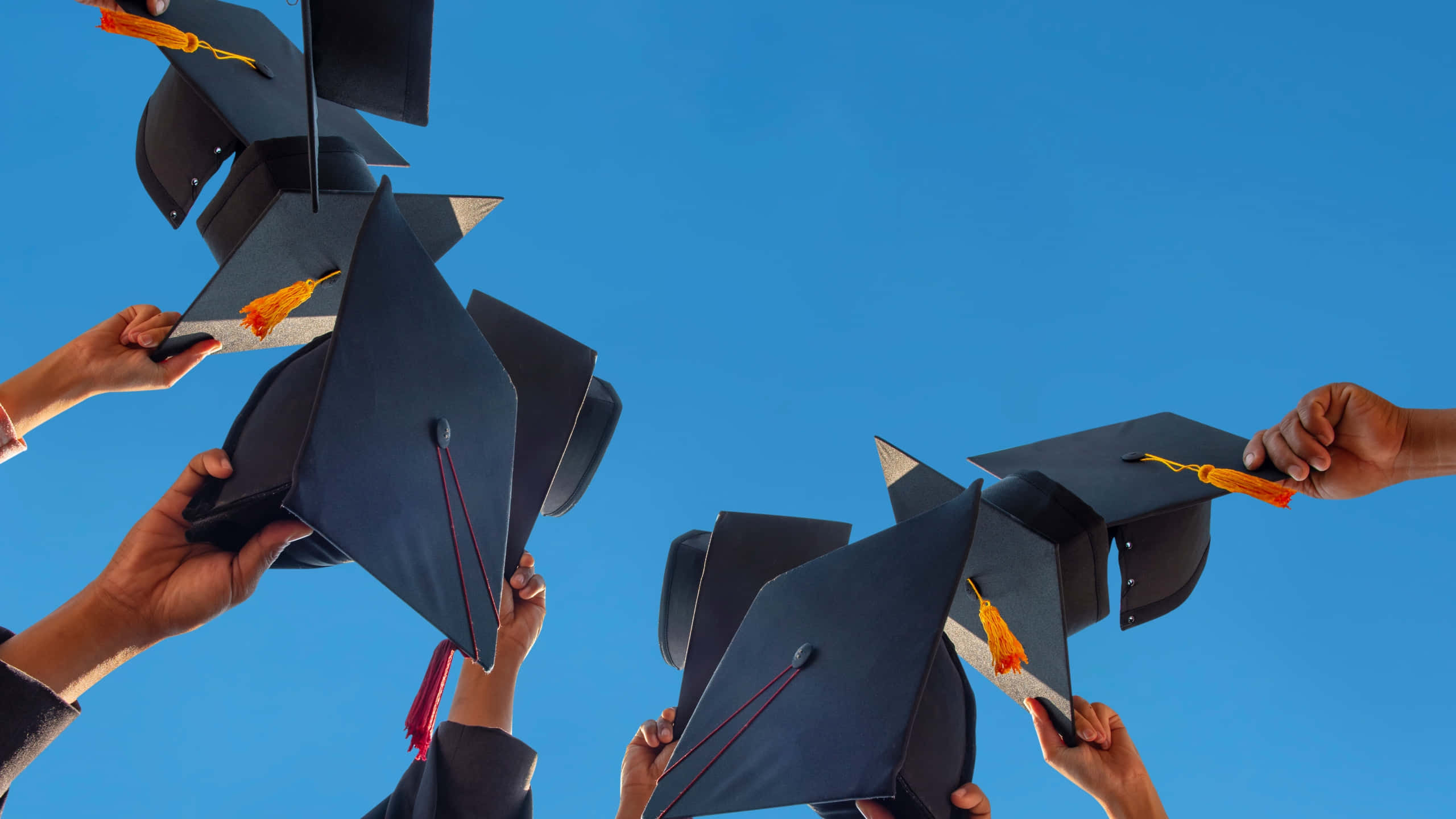 graduation ceremony, black graduation caps, orange tassels, 2K Desktop Wallpaper