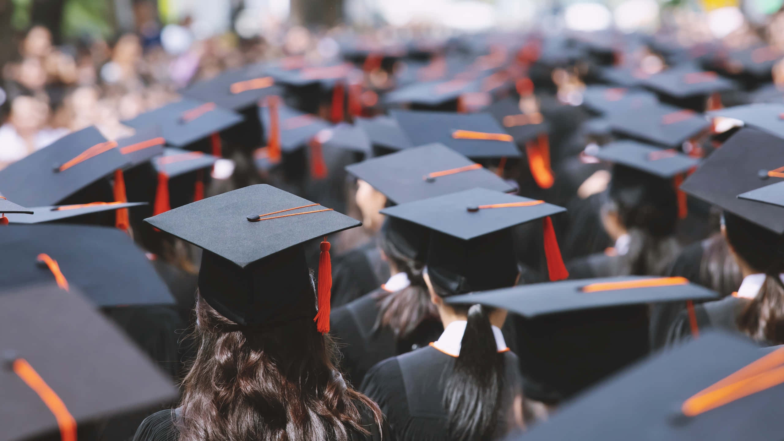 graduation ceremony, black caps and gowns, orange tassels, 2K Desktop Wallpaper