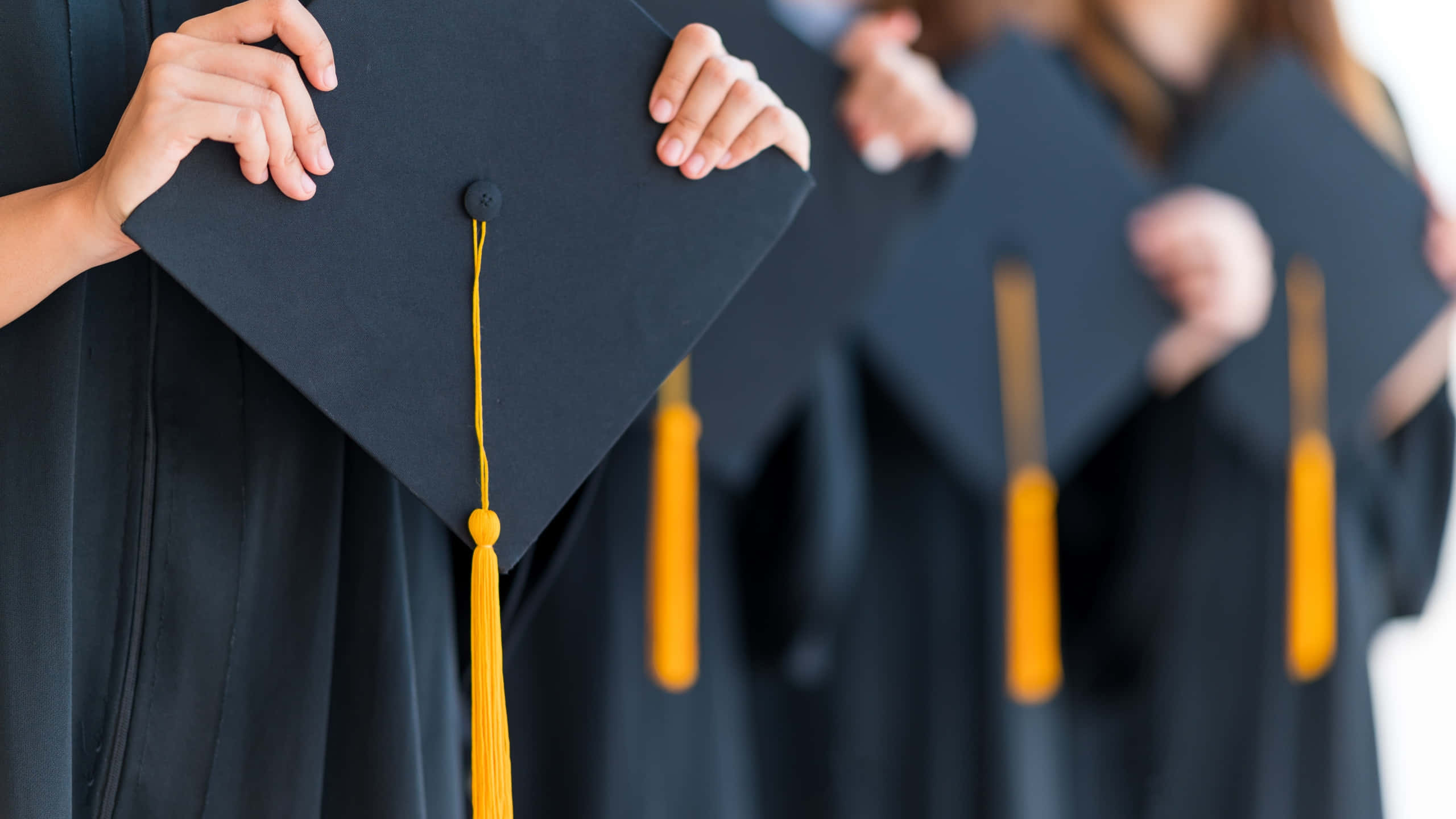 graduation ceremony, black caps, bright yellow tassels, 2K Desktop Wallpaper