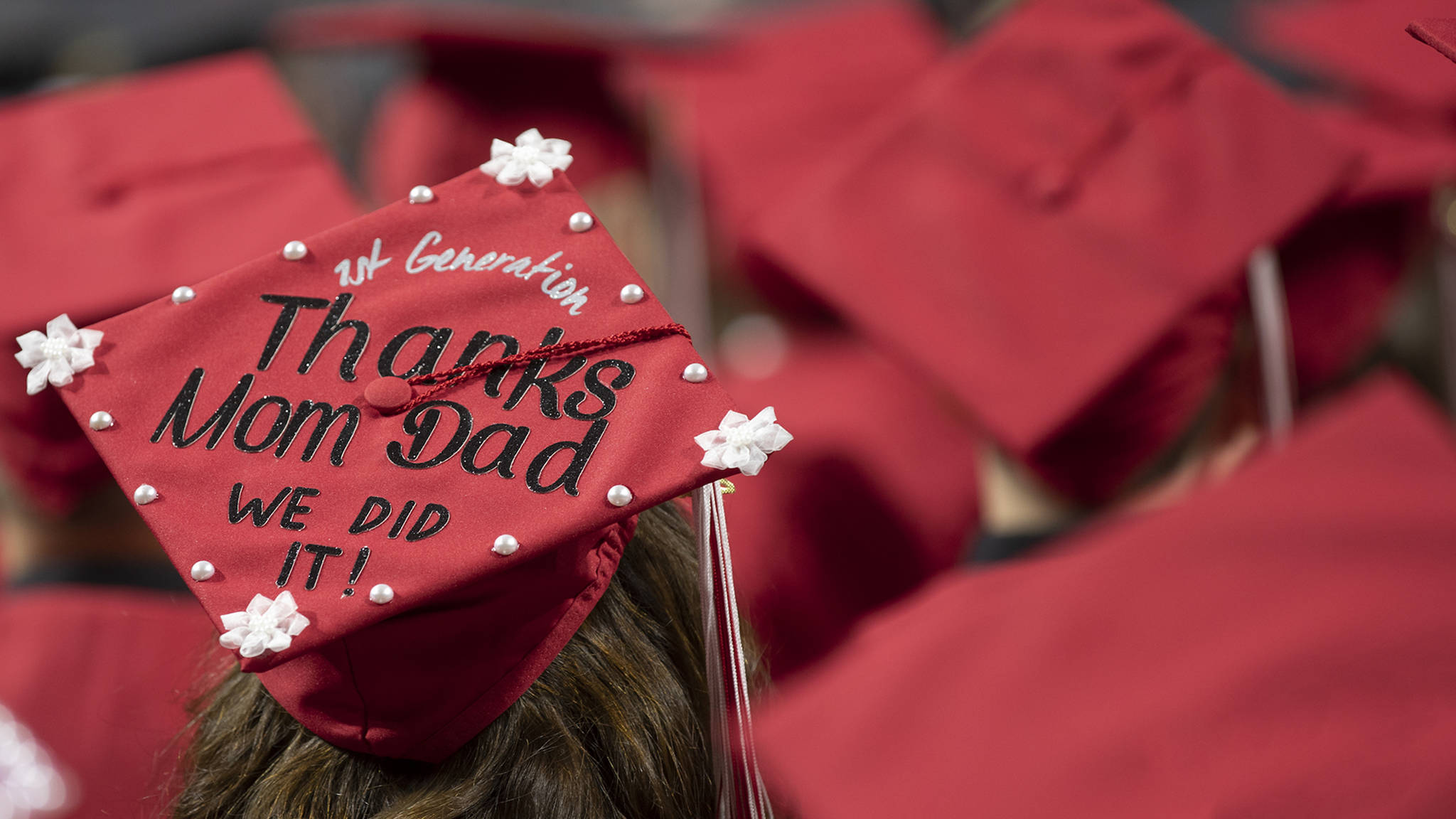 graduation cap, red graduation cap, white flowers, Full HD Desktop Wallpaper