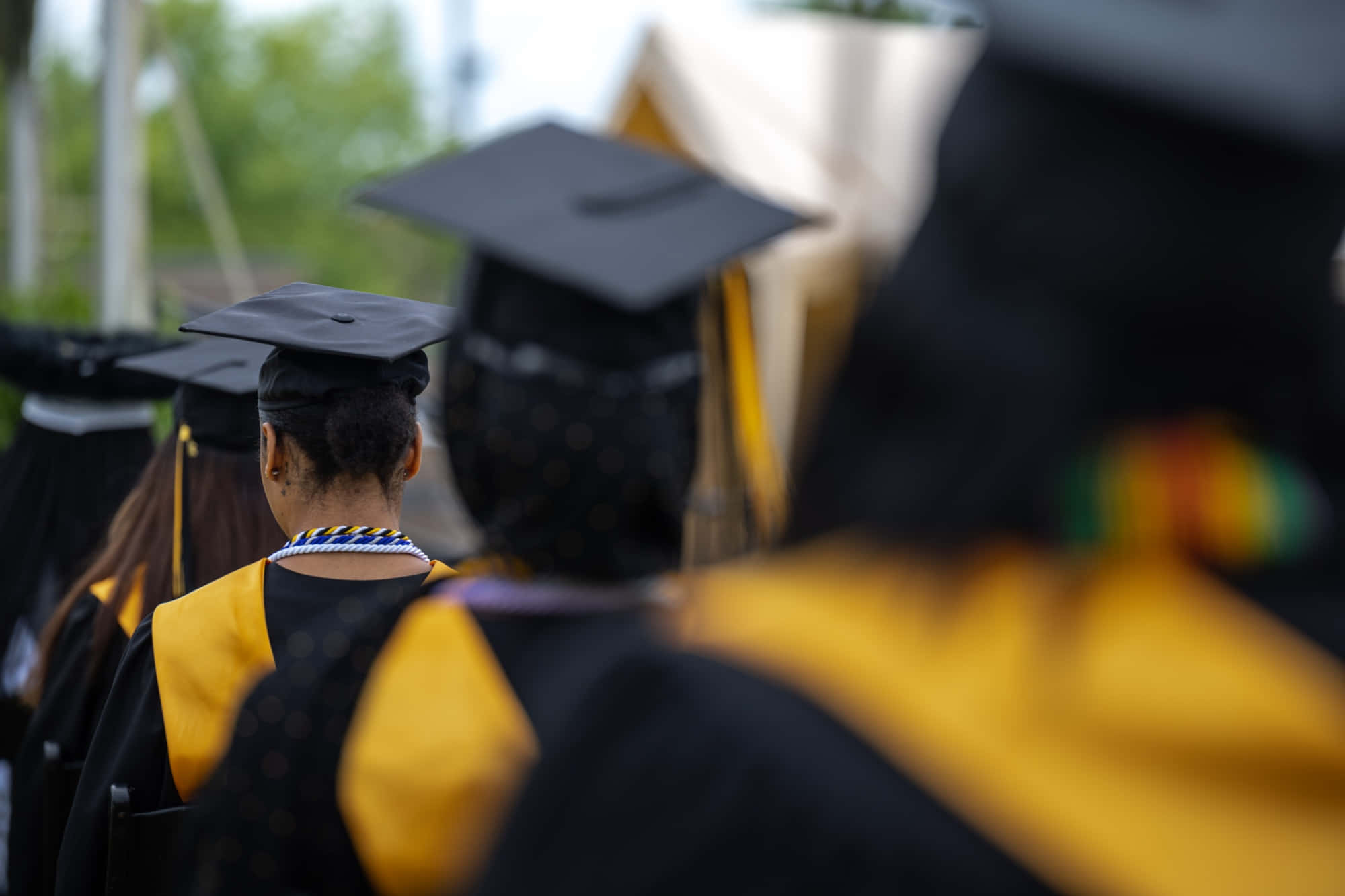 graduation ceremony, black caps, yellow gowns, Full HD Desktop Wallpaper