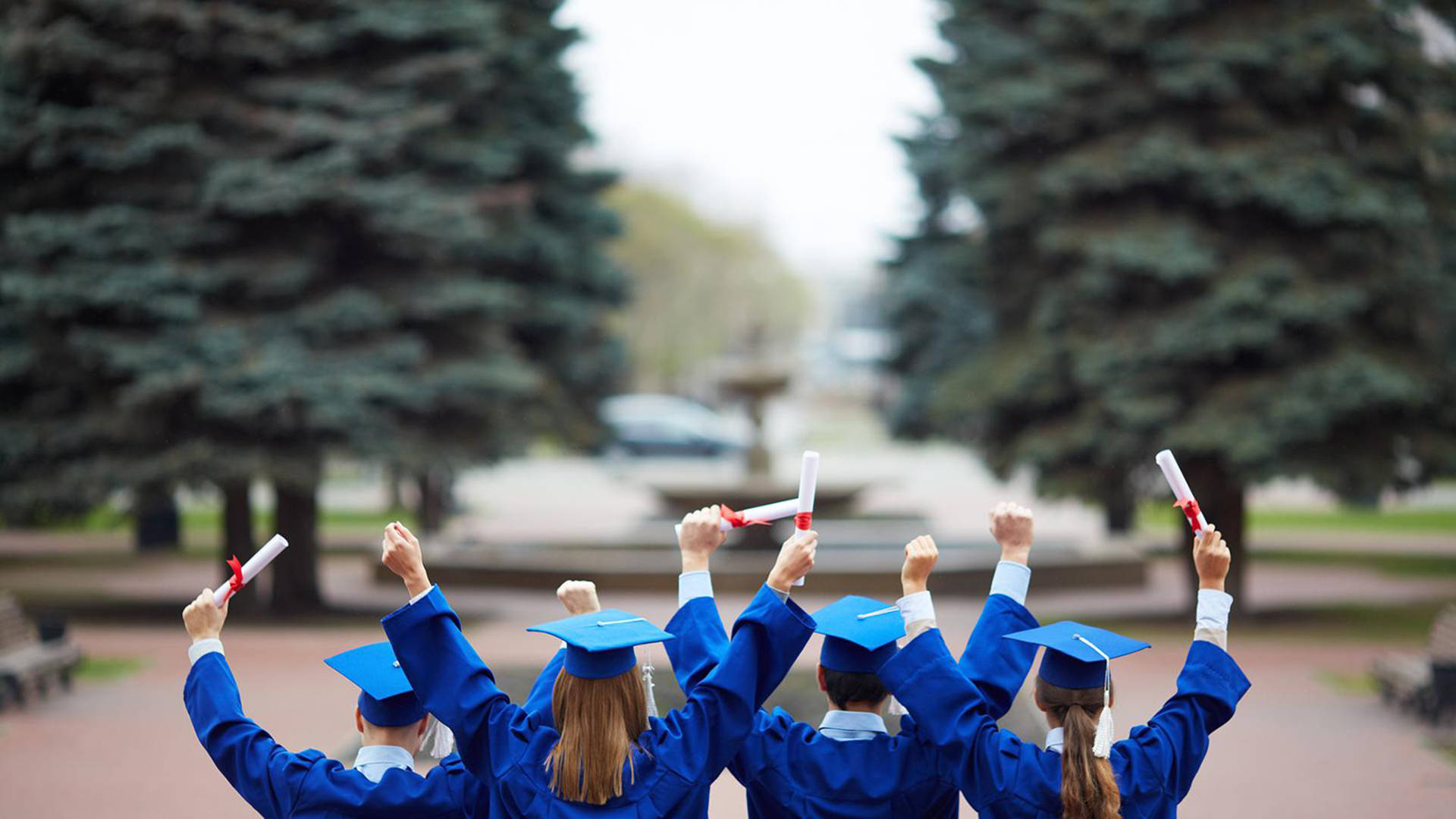 blue caps and gowns, diplomas, park, Full HD Desktop Wallpaper