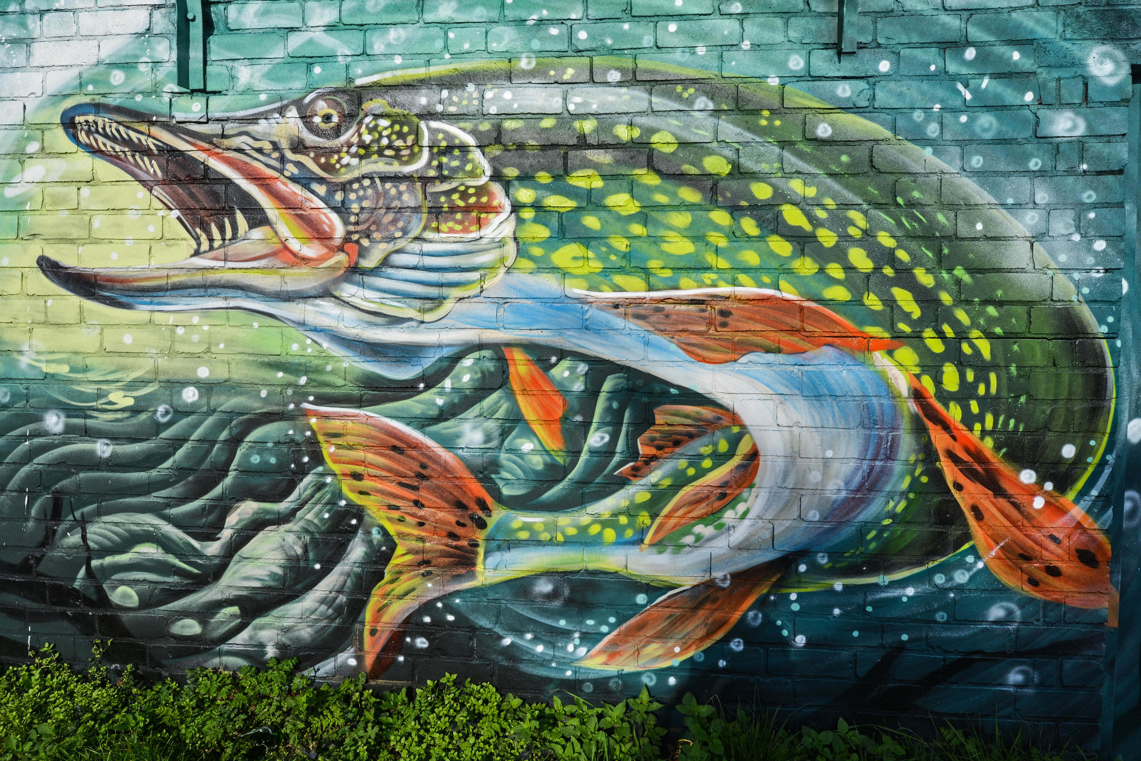 colorful graffiti mural, cityscape, leaping pike, 4K Desktop Wallpaper