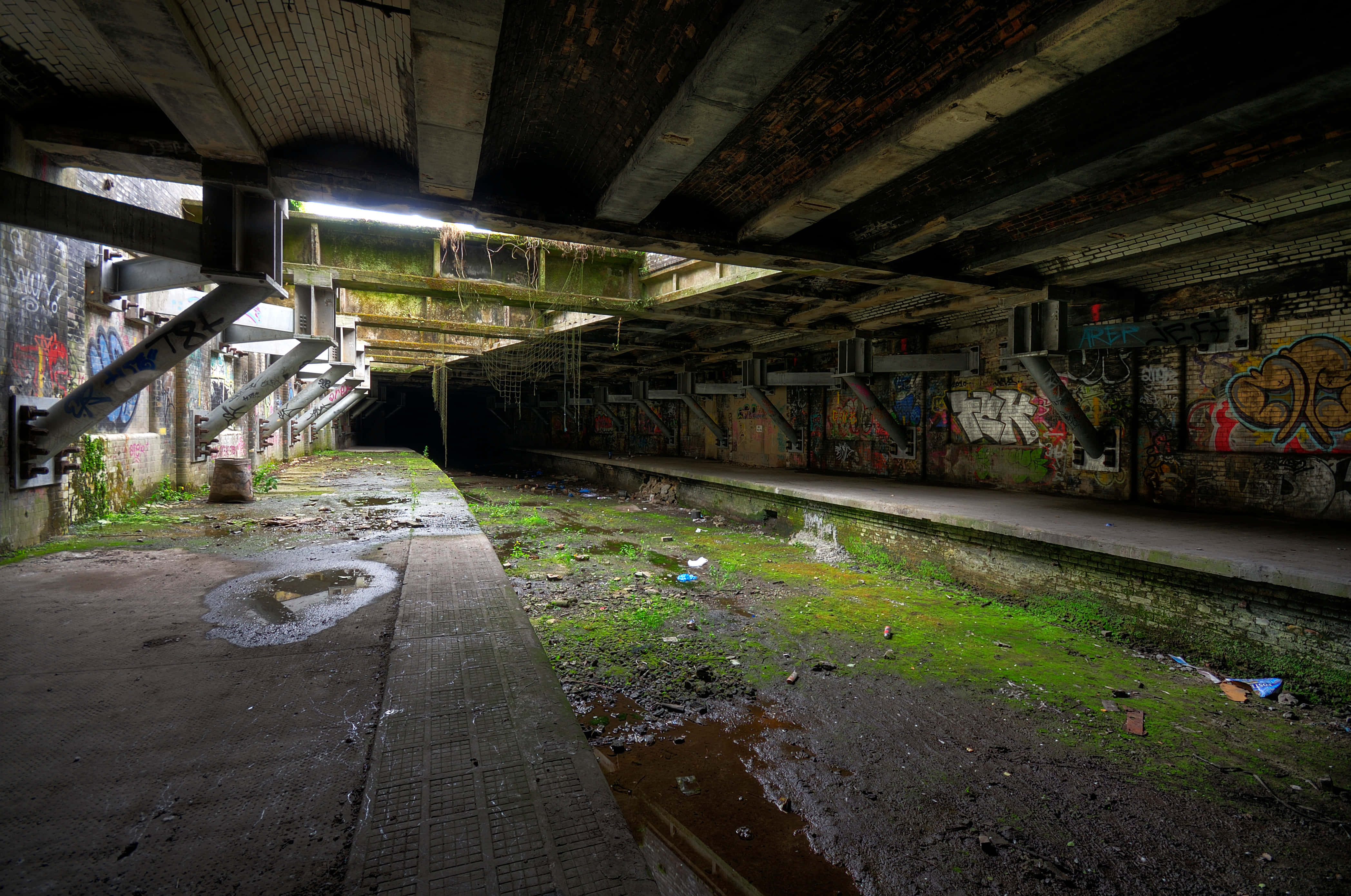 Graffiti 4K, abandoned subway station, moss, 4K Desktop Wallpaper