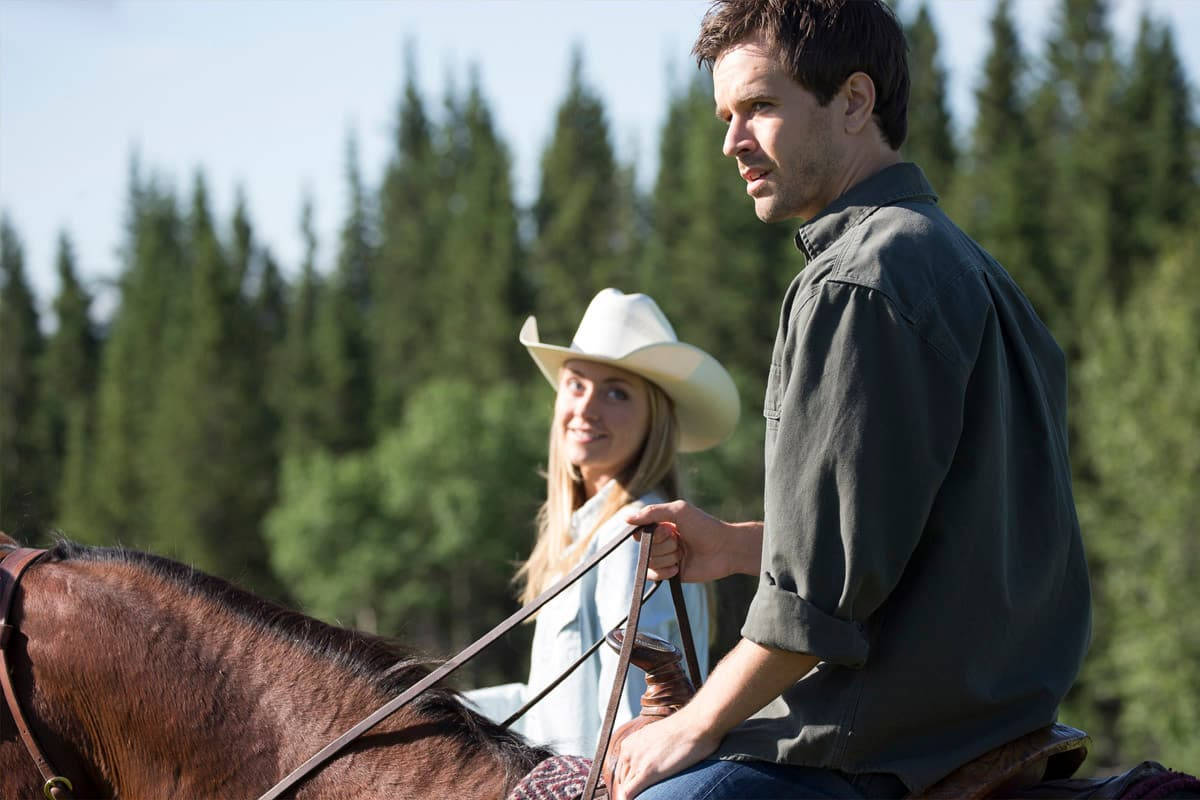 Graham Wardle, horse, sunlit forest, SD Desktop Wallpaper