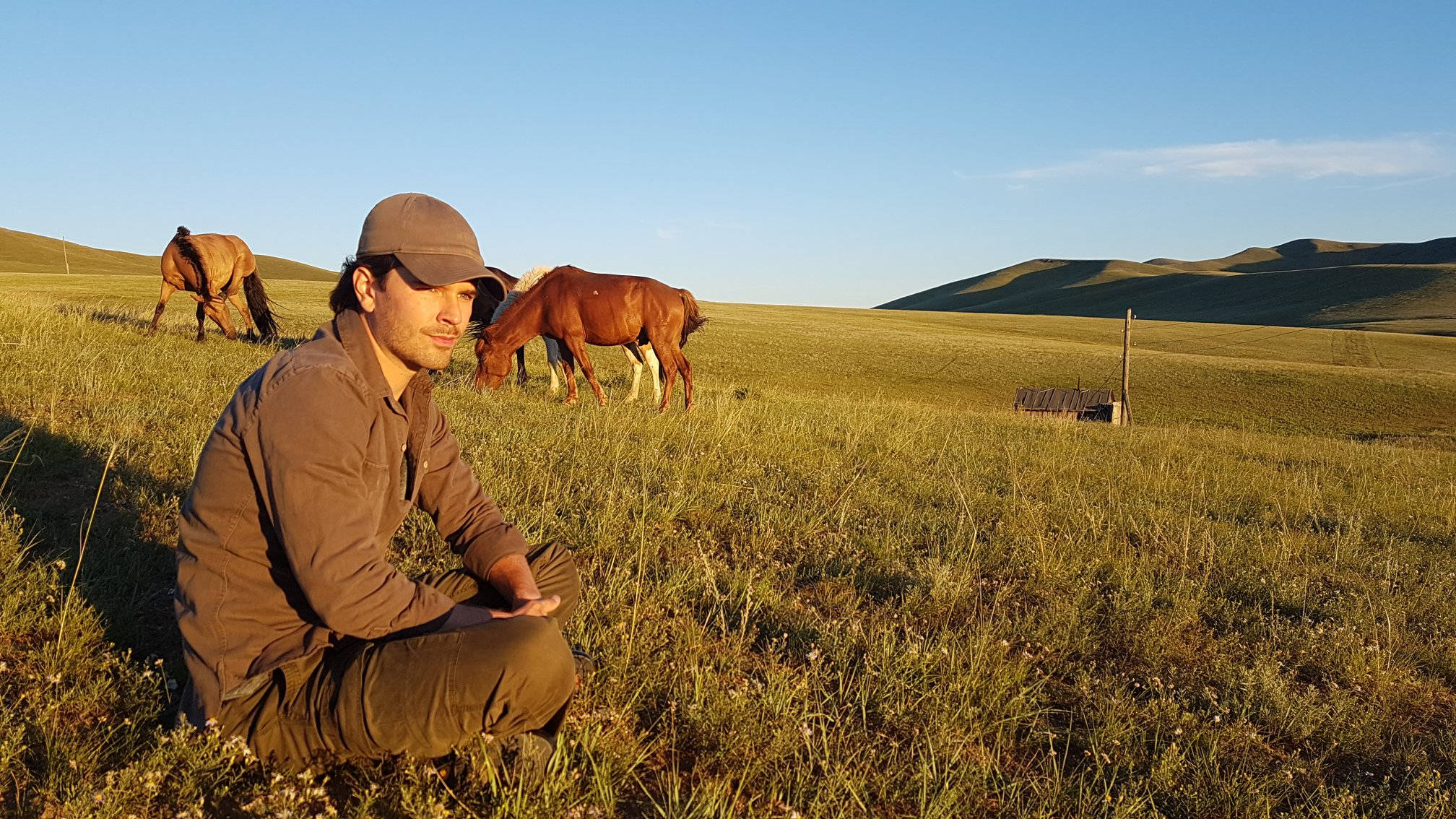 Graham Wardle, horse field, sunlit grassy field, Full HD Desktop Wallpaper