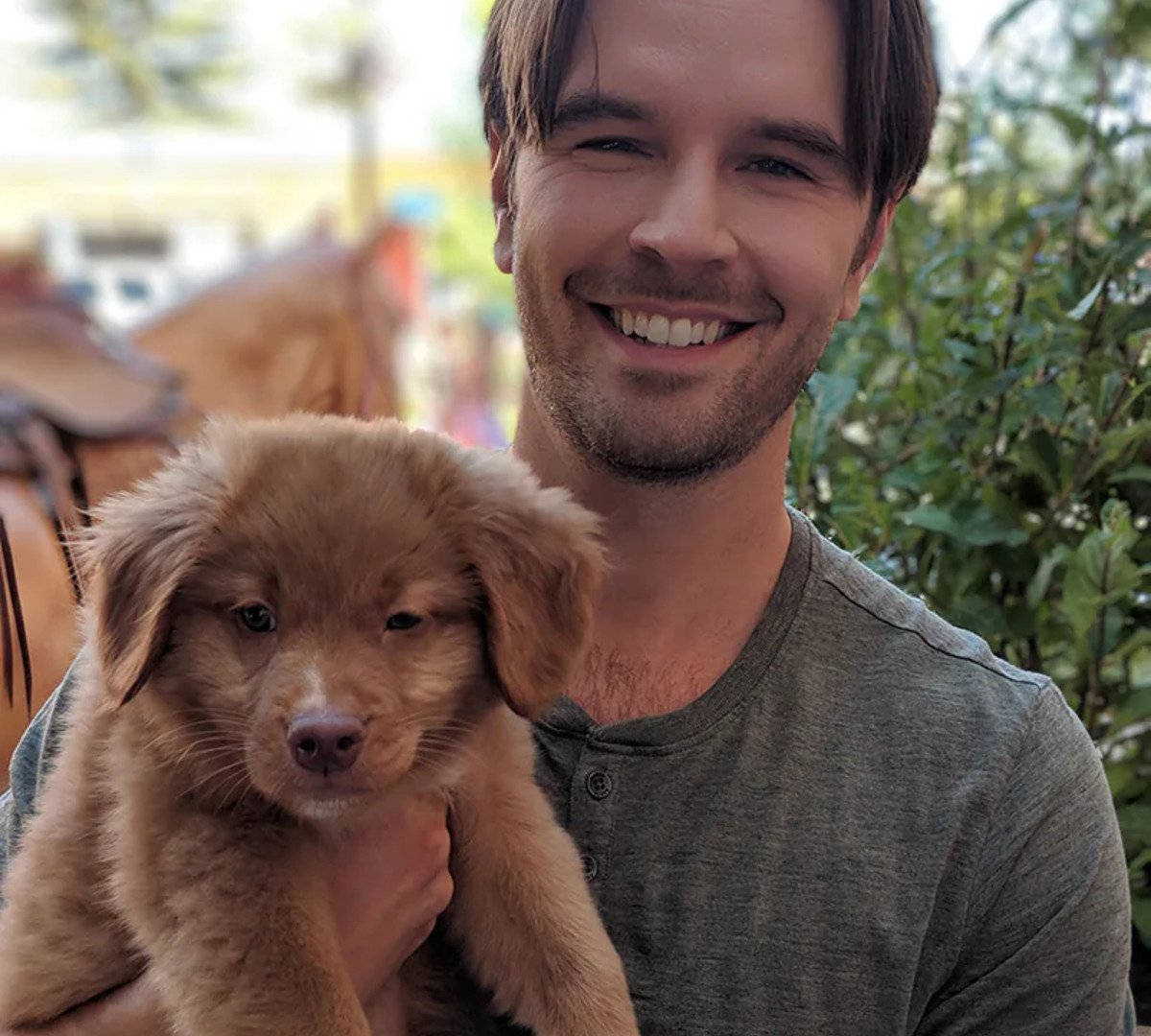 Graham Wardle, puppy, fluffy golden, SD Desktop Wallpaper