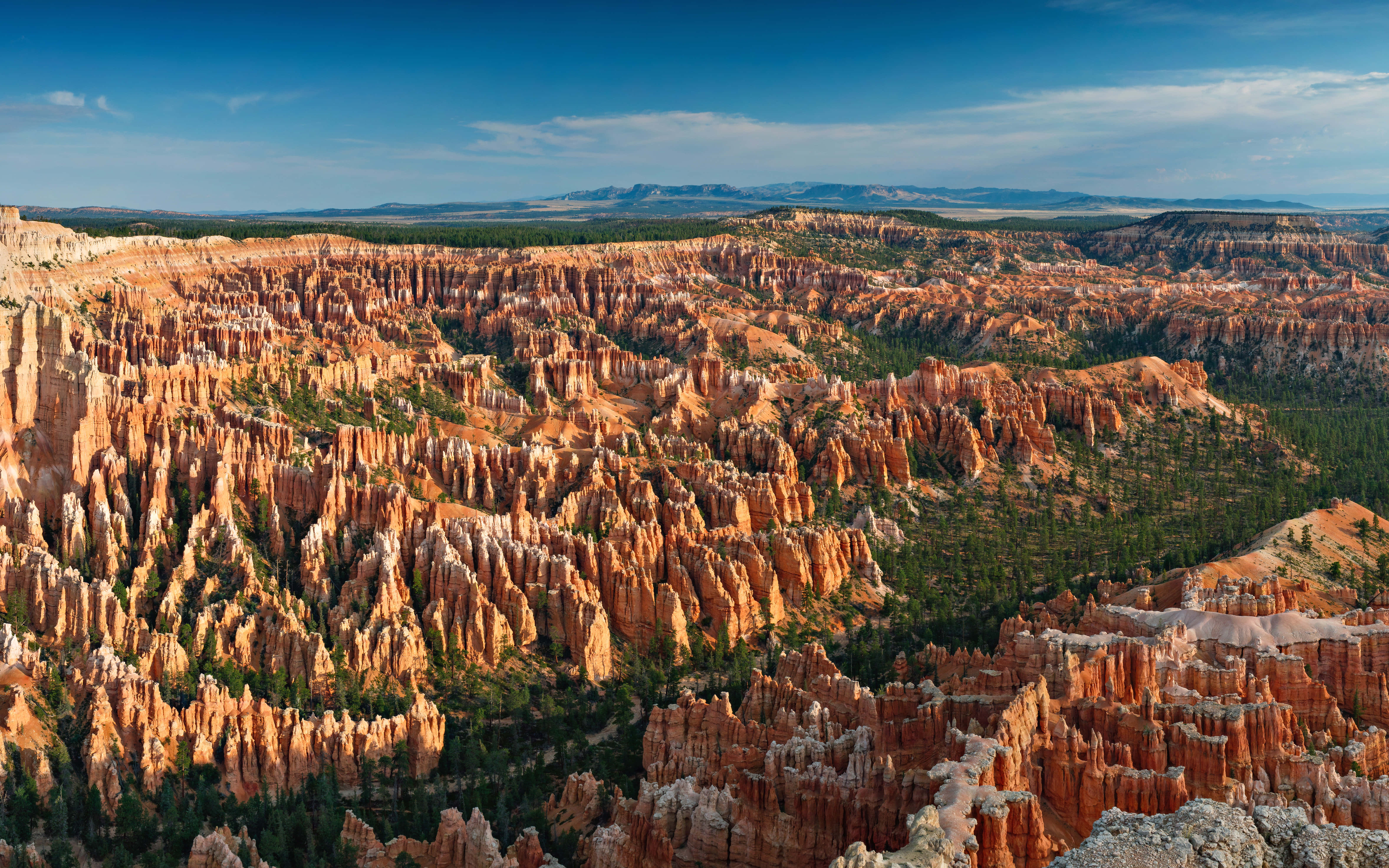 majestic canyon, orange hoodoos, green forests, 5K Desktop Wallpaper