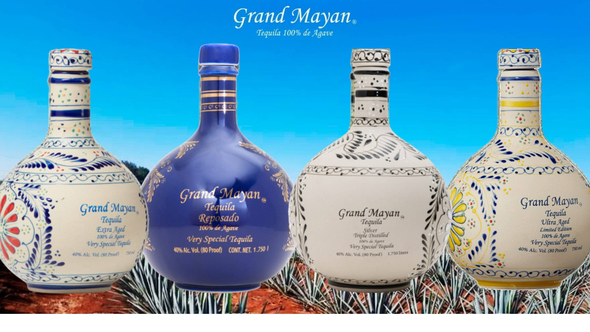 Grand Mayan, tequila bottles, bright blue sky, Full HD Desktop Wallpaper