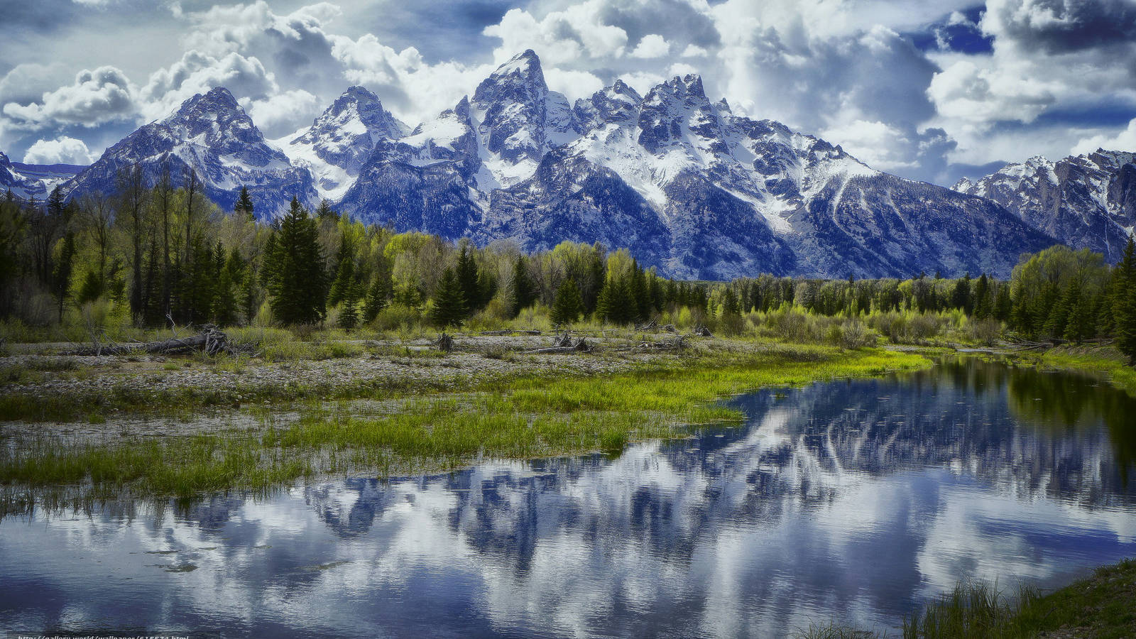 Grand Teton National Park, snow-capped jagged mountains, forested meadow, HD Desktop Wallpaper